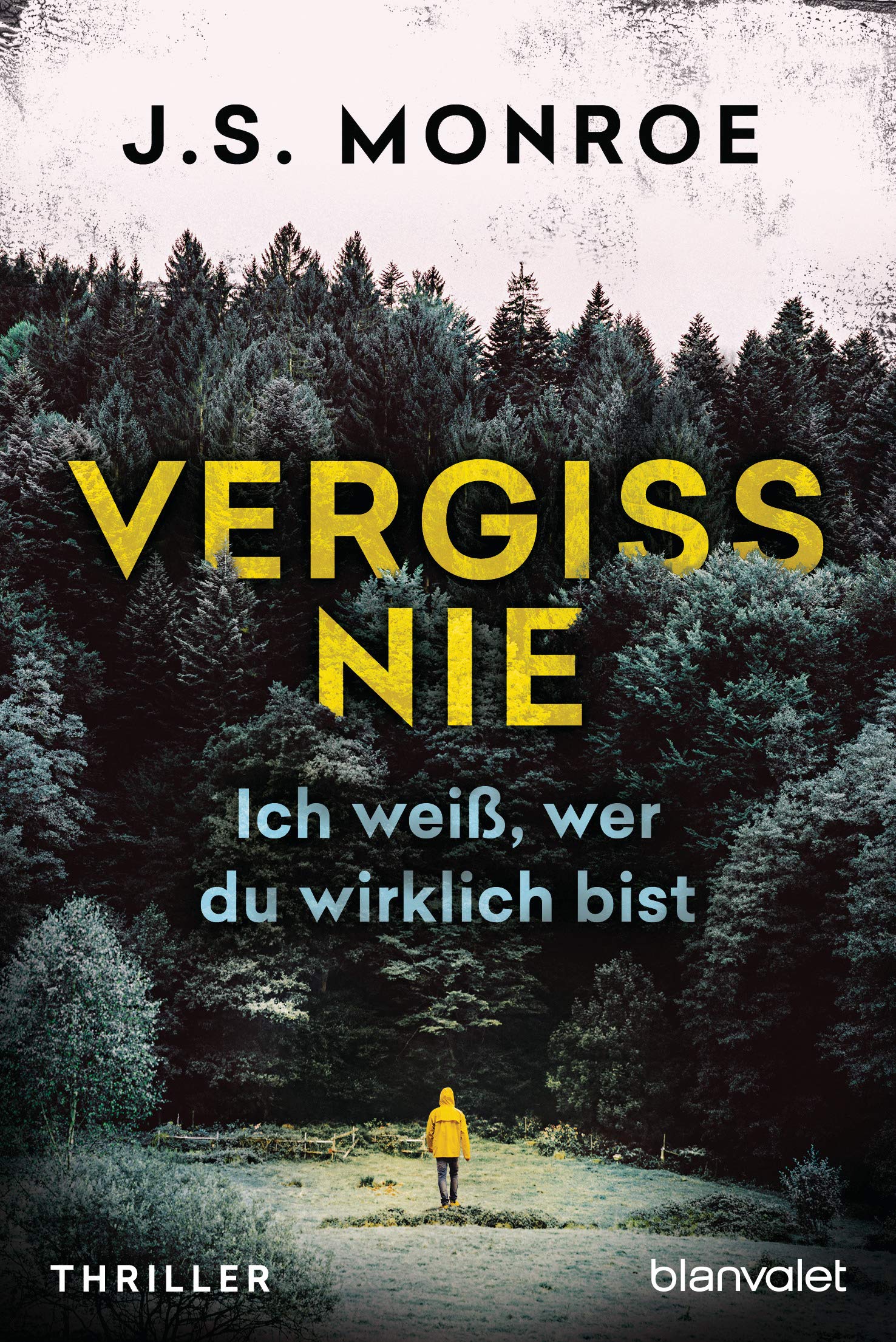 Blanvalet Taschenbuch Verlag Vergiss Nie - Ich Weiß, Wer Du Wirklich Bist: Thriller