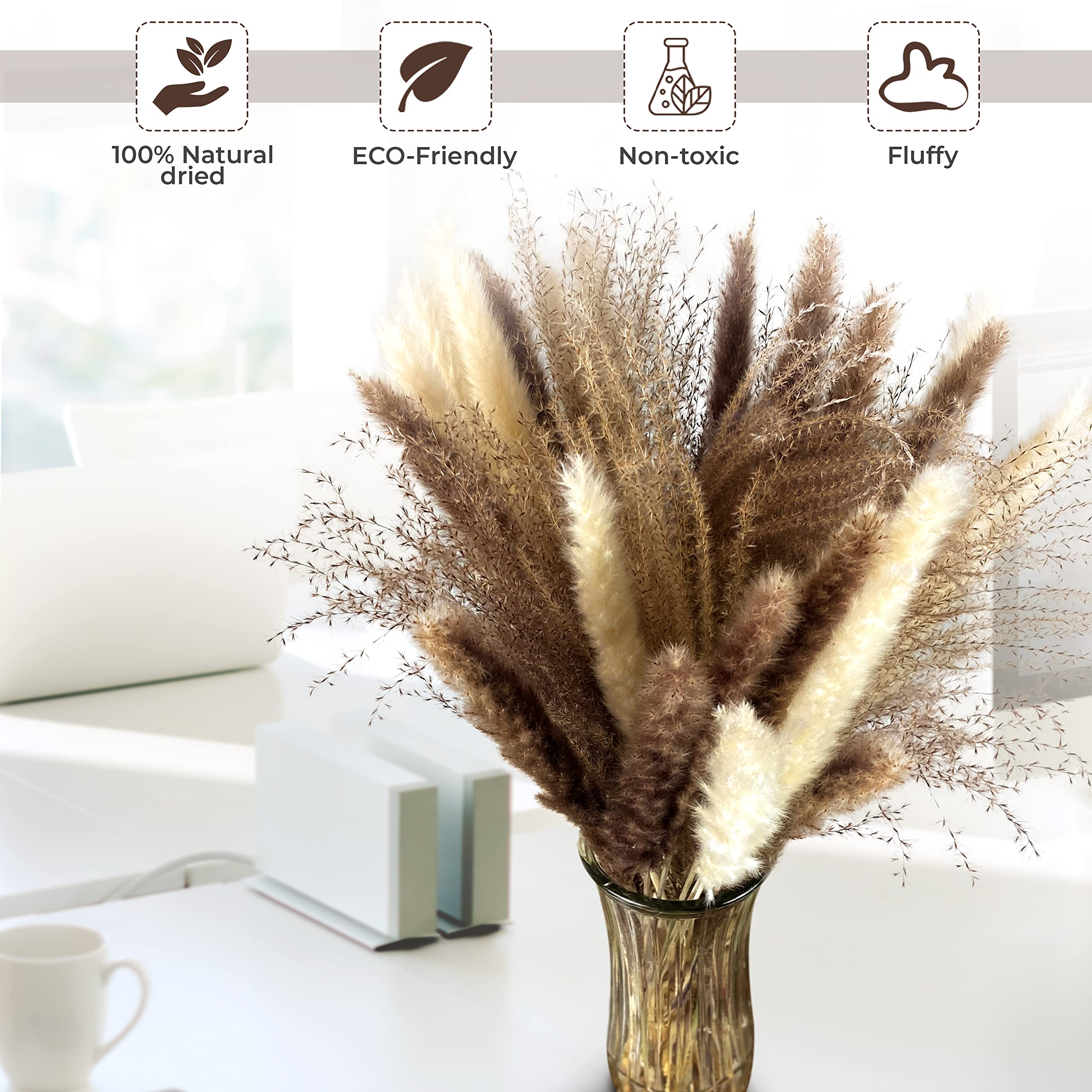 Amazon｜Jhoward パンパスグラス60個 | ホワイトパンパ15個 ブラウン