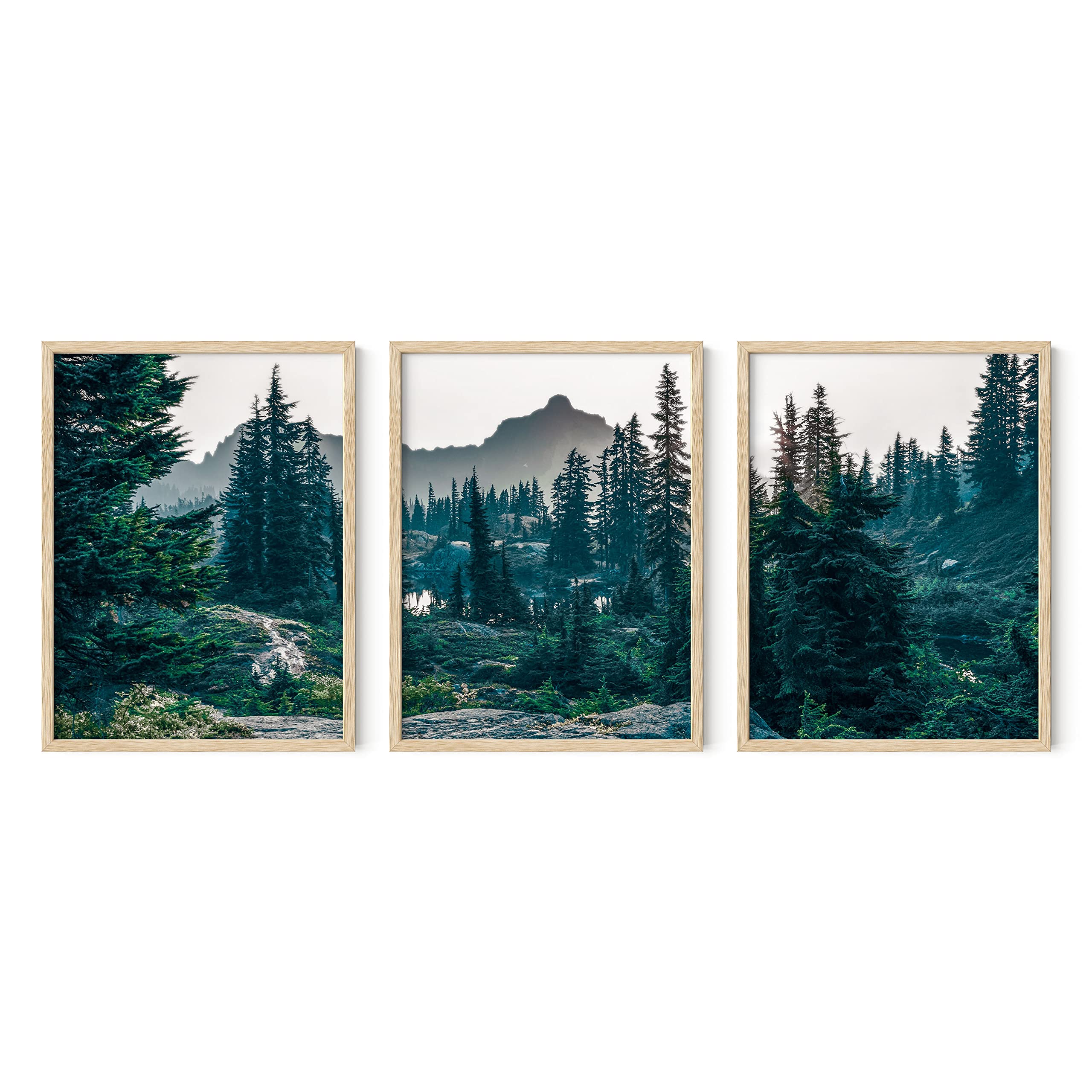 HAUS AND HUES Forest Photography - Set of 3 Mountain Pictures, Nature Art for Living Room (Beige Frame, 12x16)
