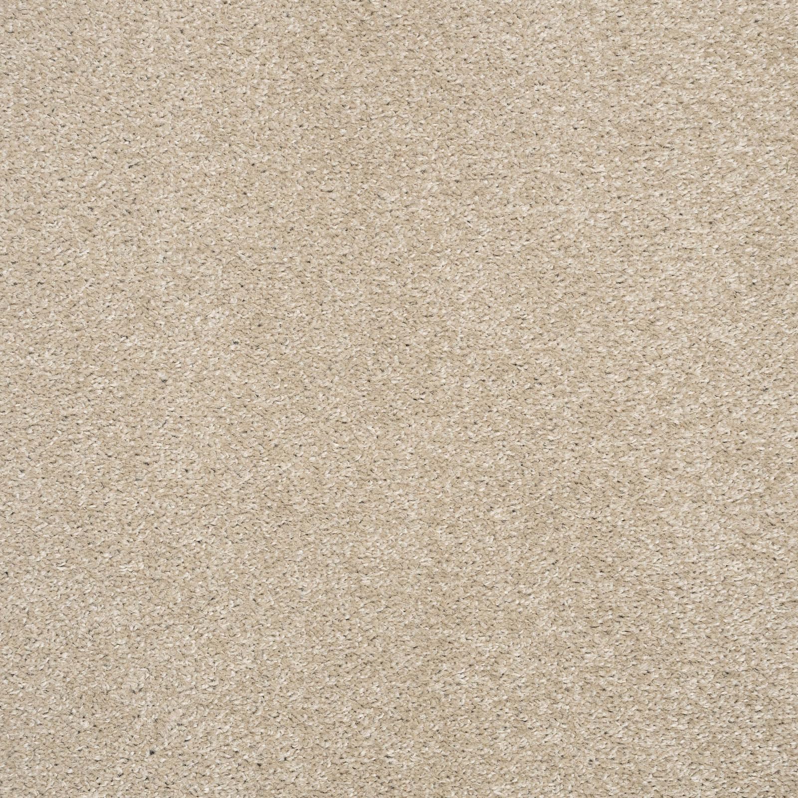 247Floors Beige Quality Feltback Twist Pile Carpet Stain Resistant Cheap ( - 4M X 2.5M)