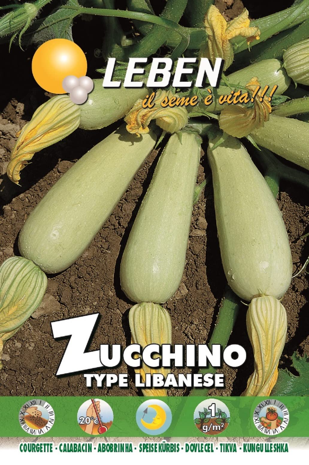 Leben Zucchino (Zucchino type Libanese) Premium Quality Seeds Made in Italy by DXB Garden