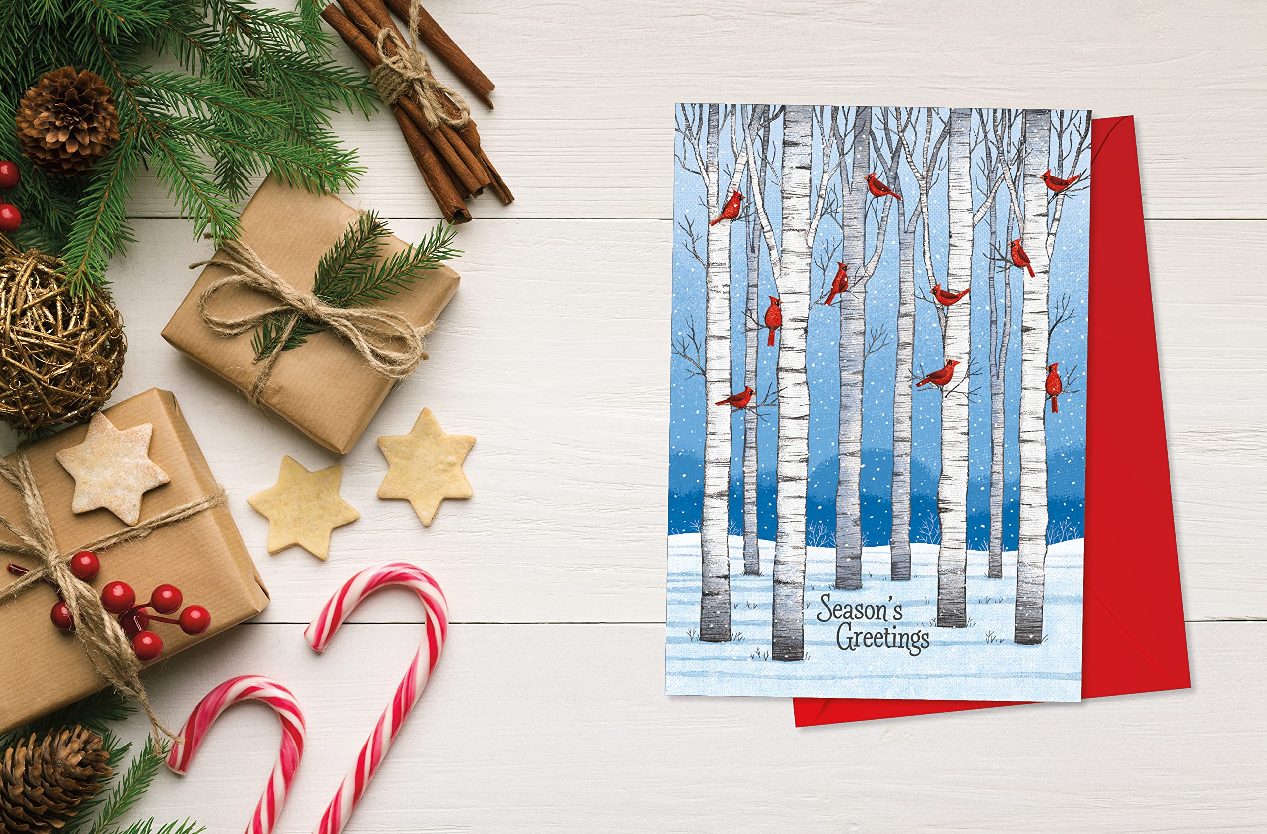 RSVP Lot de 24 cartes de vœux de Noël avec enveloppes Cardinaux colorés 12,7 x 17,8 cm