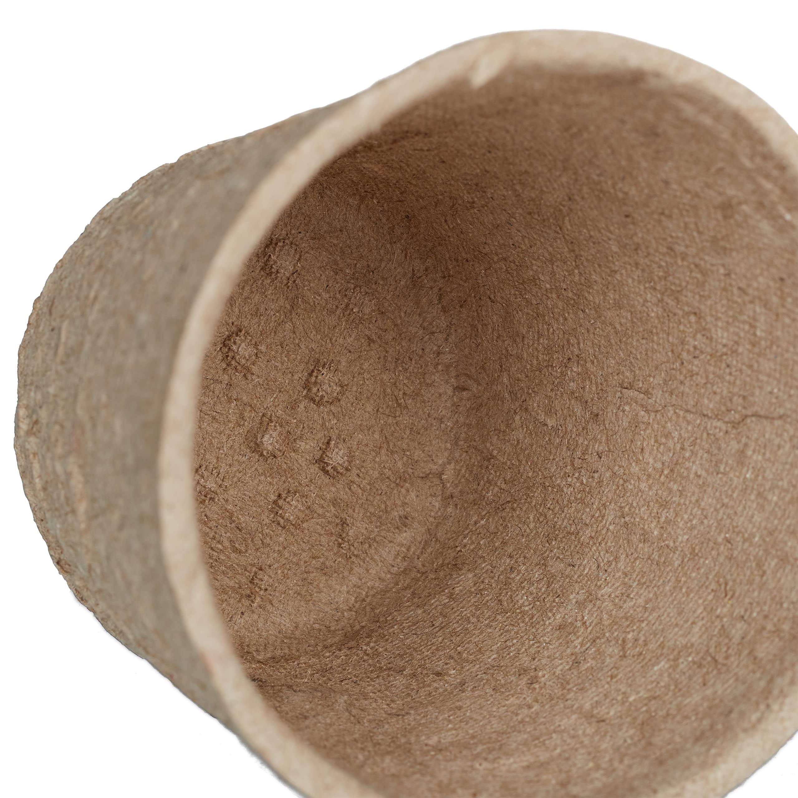 Relaxdays Godet pour semis, Lot de 80, Cellulose, HxD: 5x6 cm, Pots Ronds pour légumes, Nature