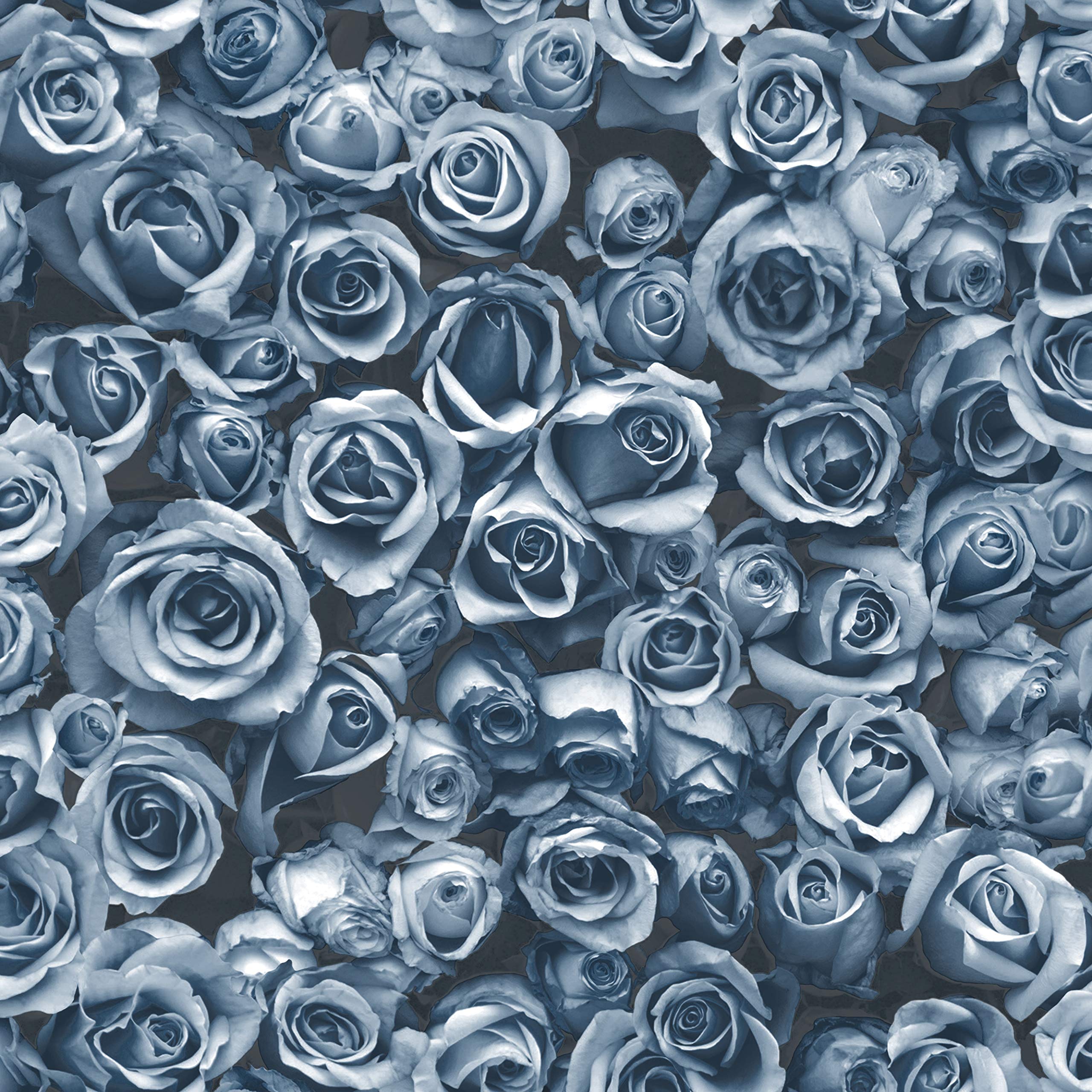 Muriva Blue Rosalee Wallpaper 158504 - Feature Small Roses Floral Photographic