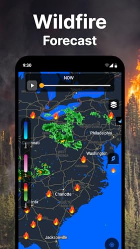 Local Weather - Widget