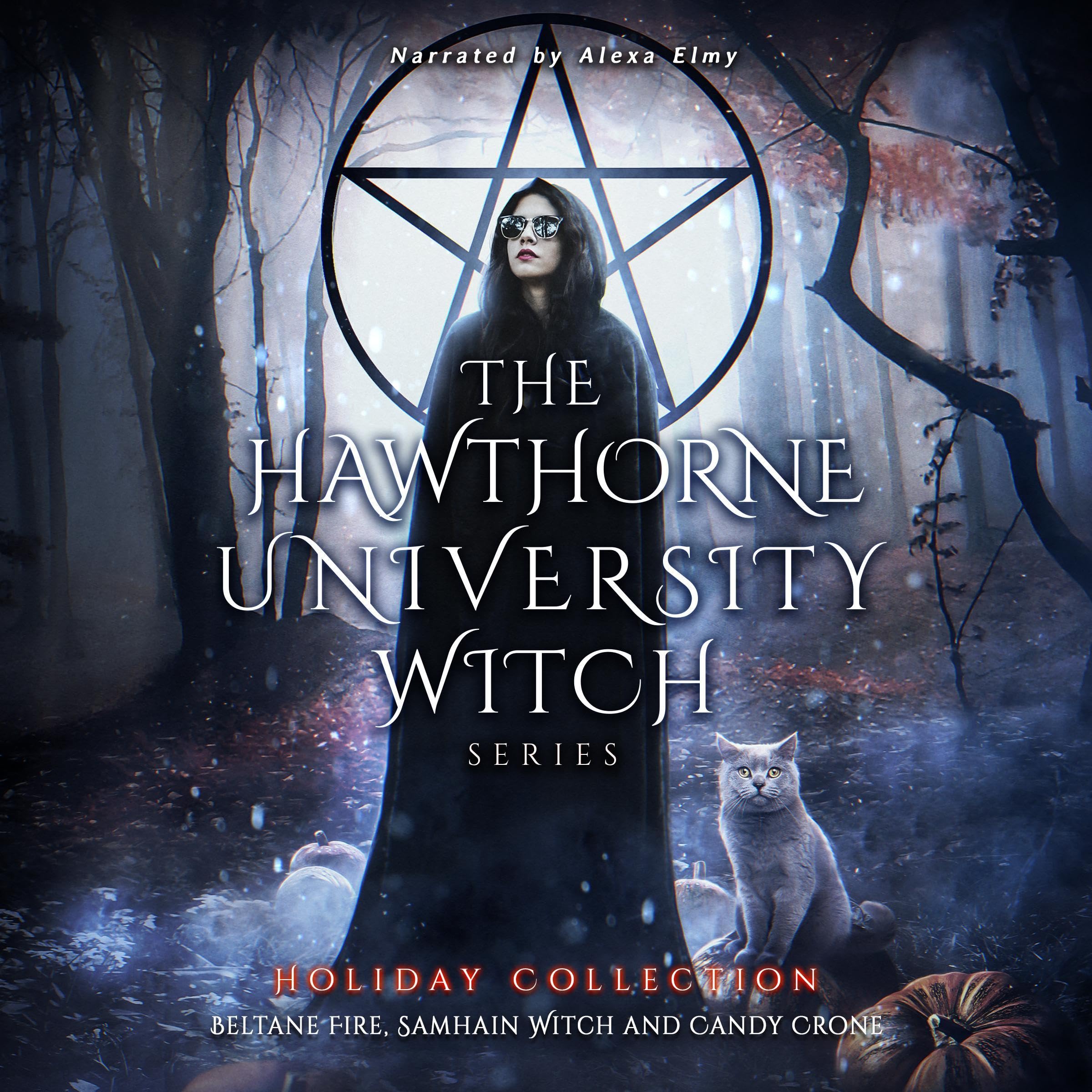 Cover art for The Hawthorne University Witch Holiday Collection