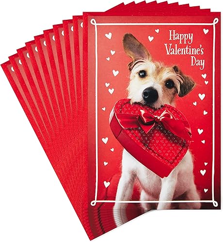 Hallmark Paquete de tarjetas del dĂa de San ValentĂn, perro con caja de chocolates (10 tarjetas del dĂa de San ValentĂn con sobres) Hallmark Paquete de tarjetas del dĂa de San ValentĂn, perro con caja de chocolates (10 tarjetas del dĂa de San ValentĂn con sobres)