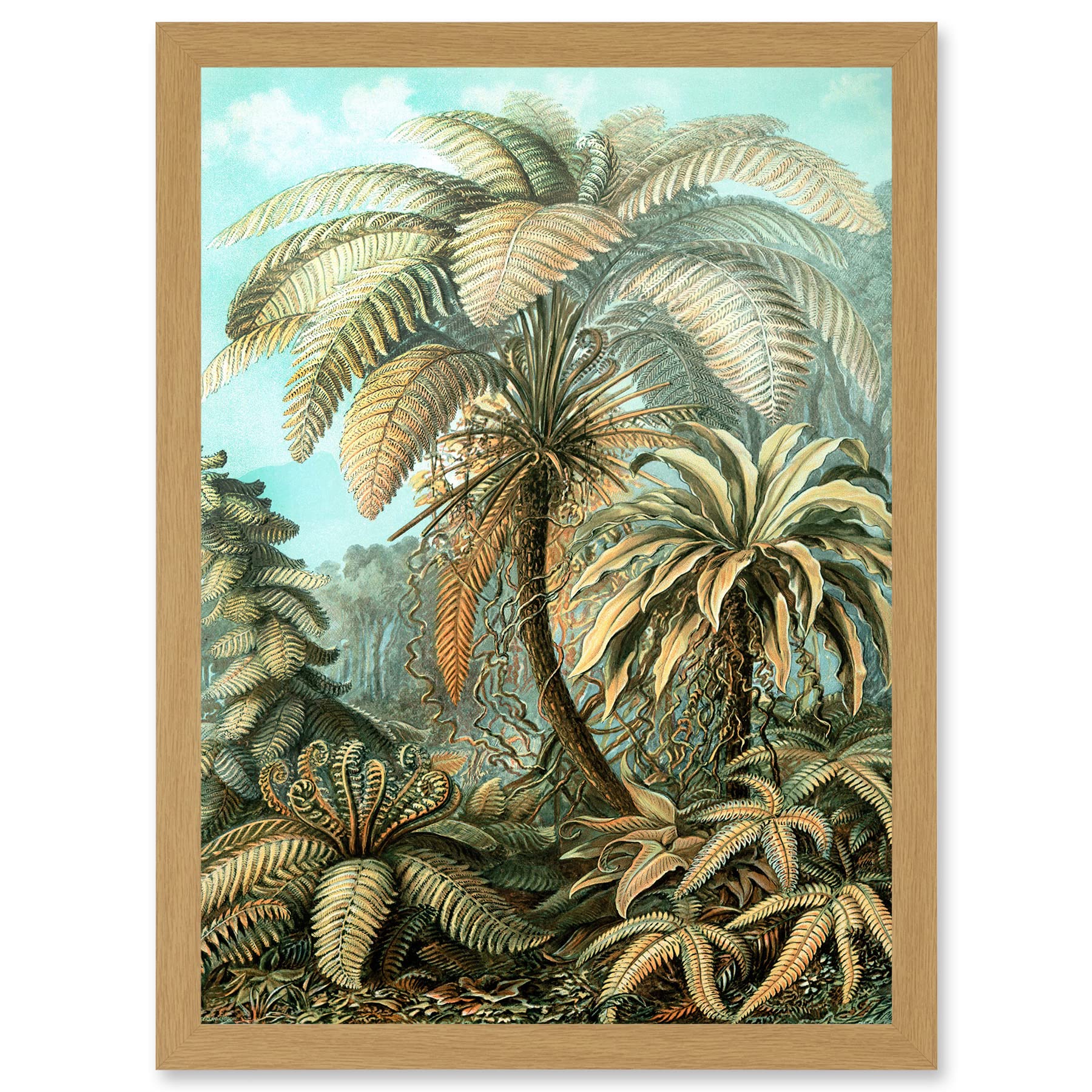 Wee Blue Coo Nature Biology Ferns Ernst Haeckel botanical Vintage Artwork Framed Wall Art Print A4