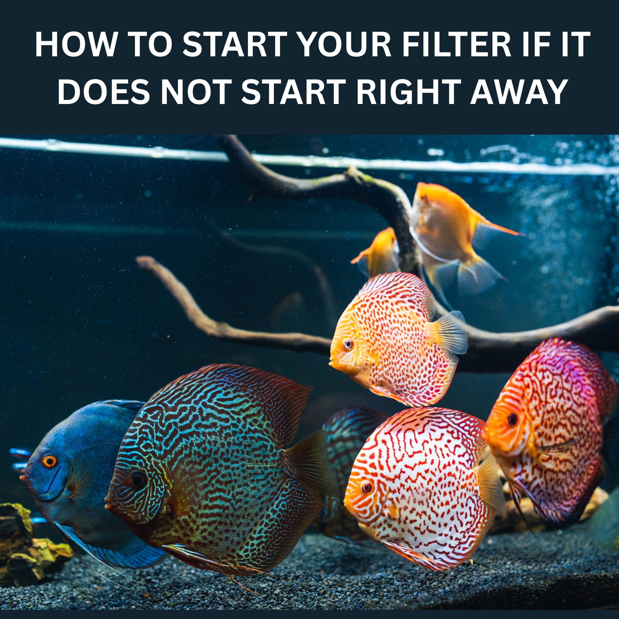 Image of Koller Products Internal Power Filter 4 Gallon-10 Gallon Fish Tanks, 45GPH Flow Rate, Ideal for Tropical Fish