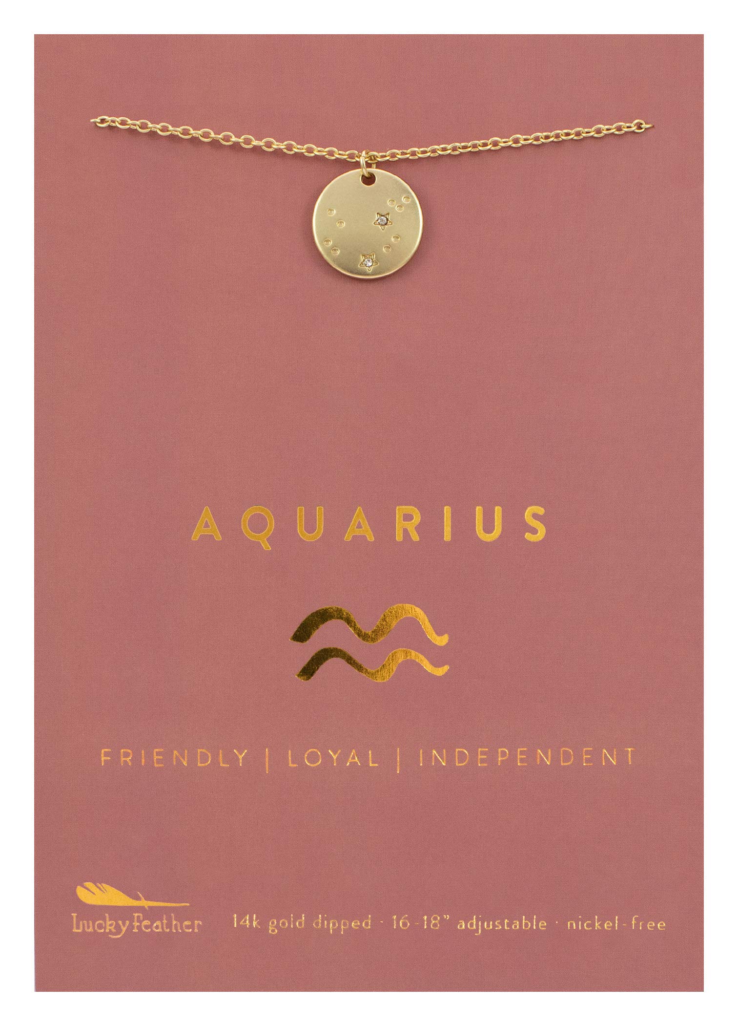 Amazon.com: Lucky Feather: Zodiac Necklaces
