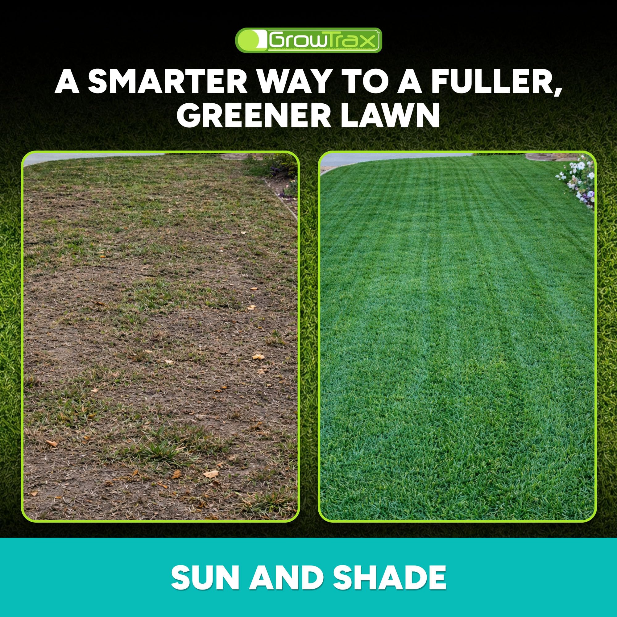 Growtrax Tapete biodegradable para semillas de hierba, 100 pies cuadrados, color verde | Semilla de césped para césped, parches de perro y sombra, solo riega y cultiva, sin césped artificial o artificial