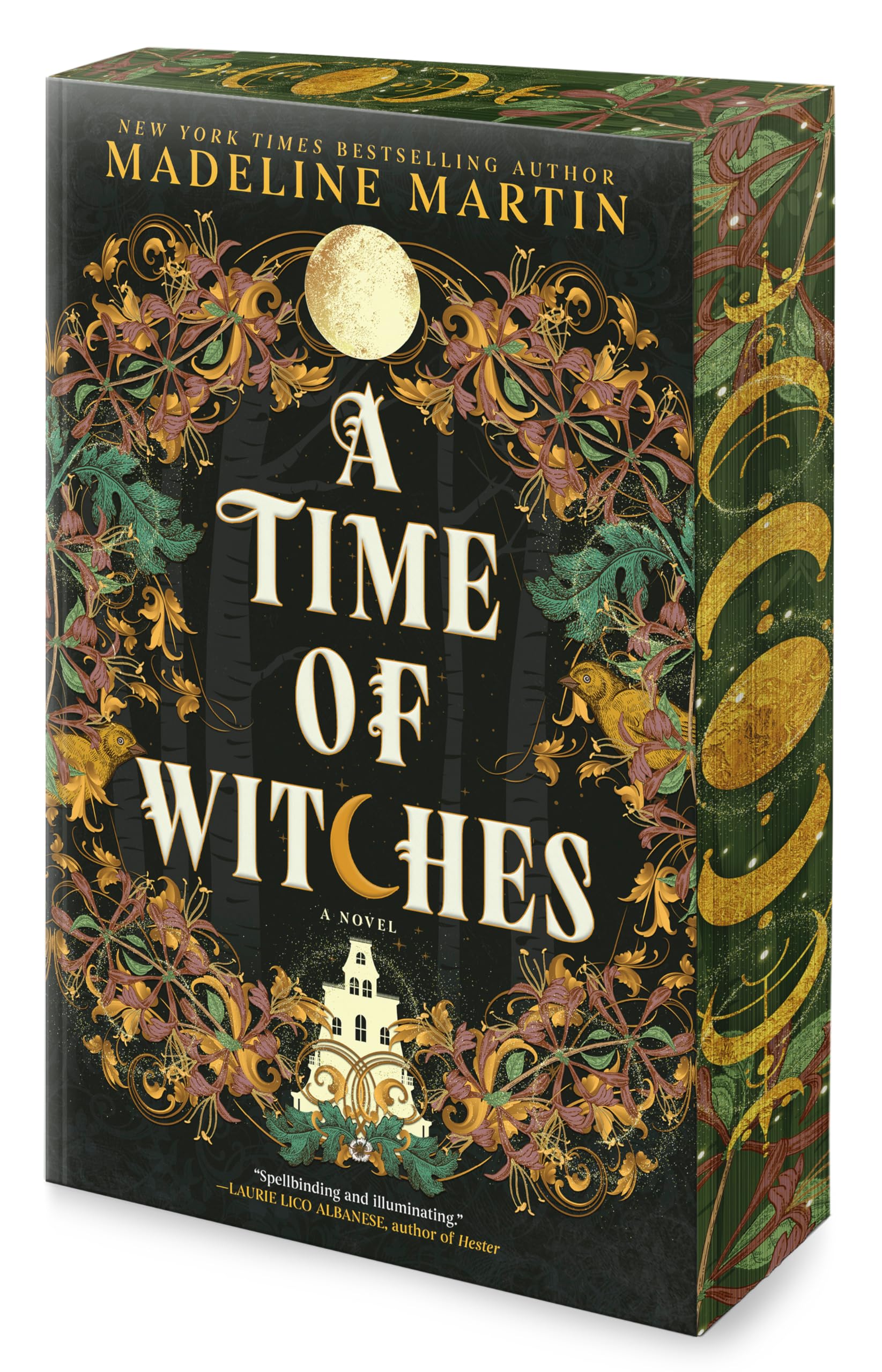 A Time of Witches: A Novel
