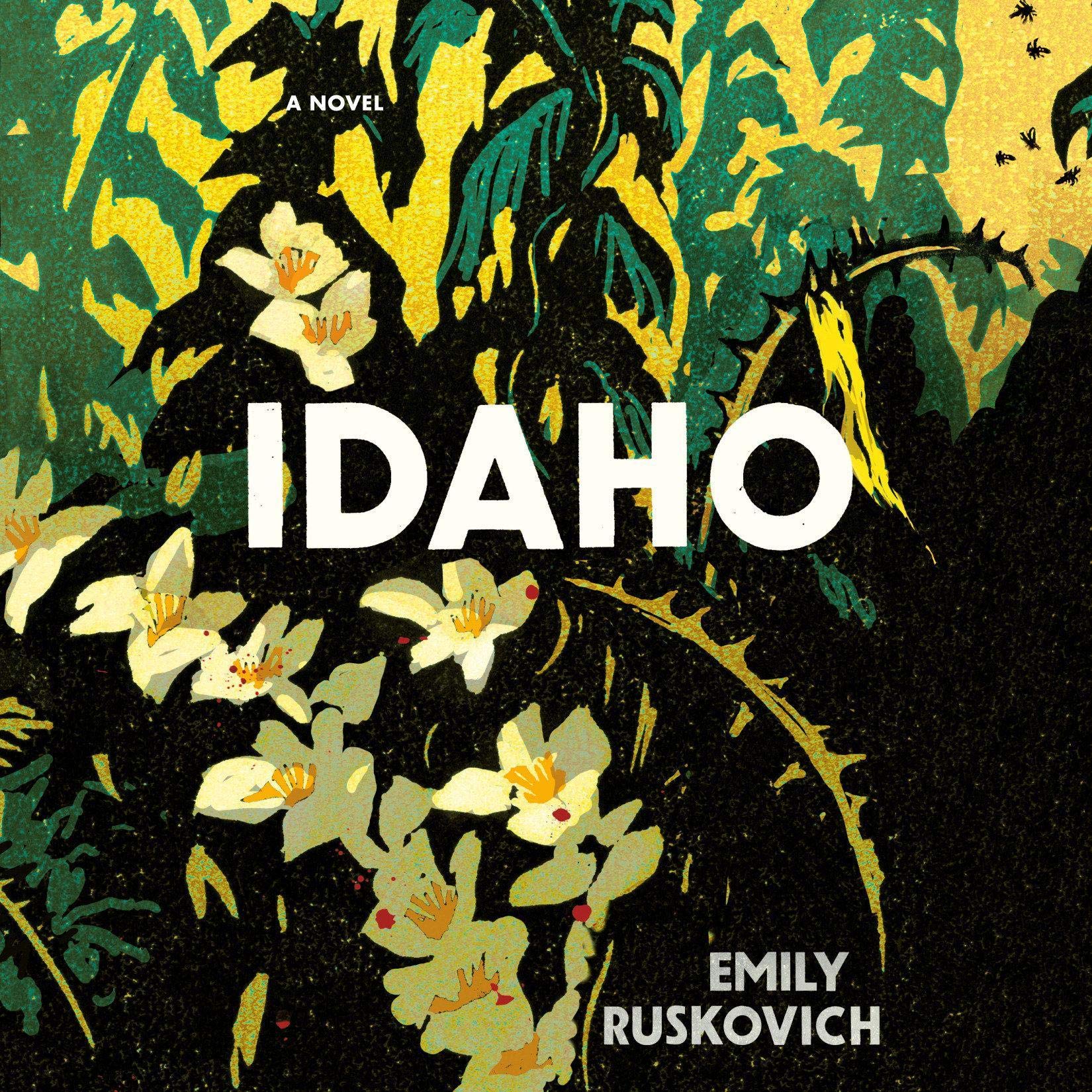 Cover art for Idaho