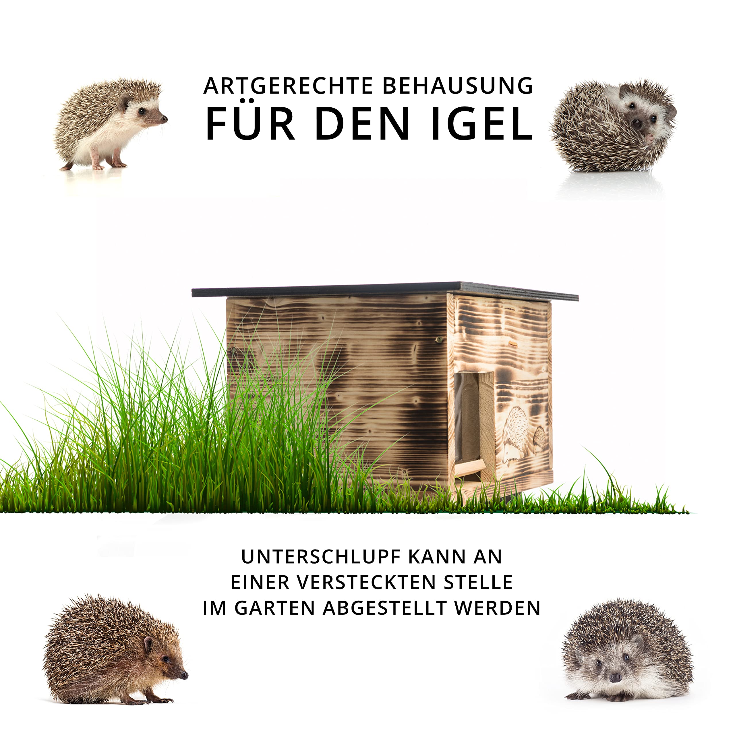 Igelhaus Neu Gebrannt (IG3) Igelhäuser Igelfutterhaus Igelhütte mit Rattenklappe Boden Abnehmbarer Dachöffnung