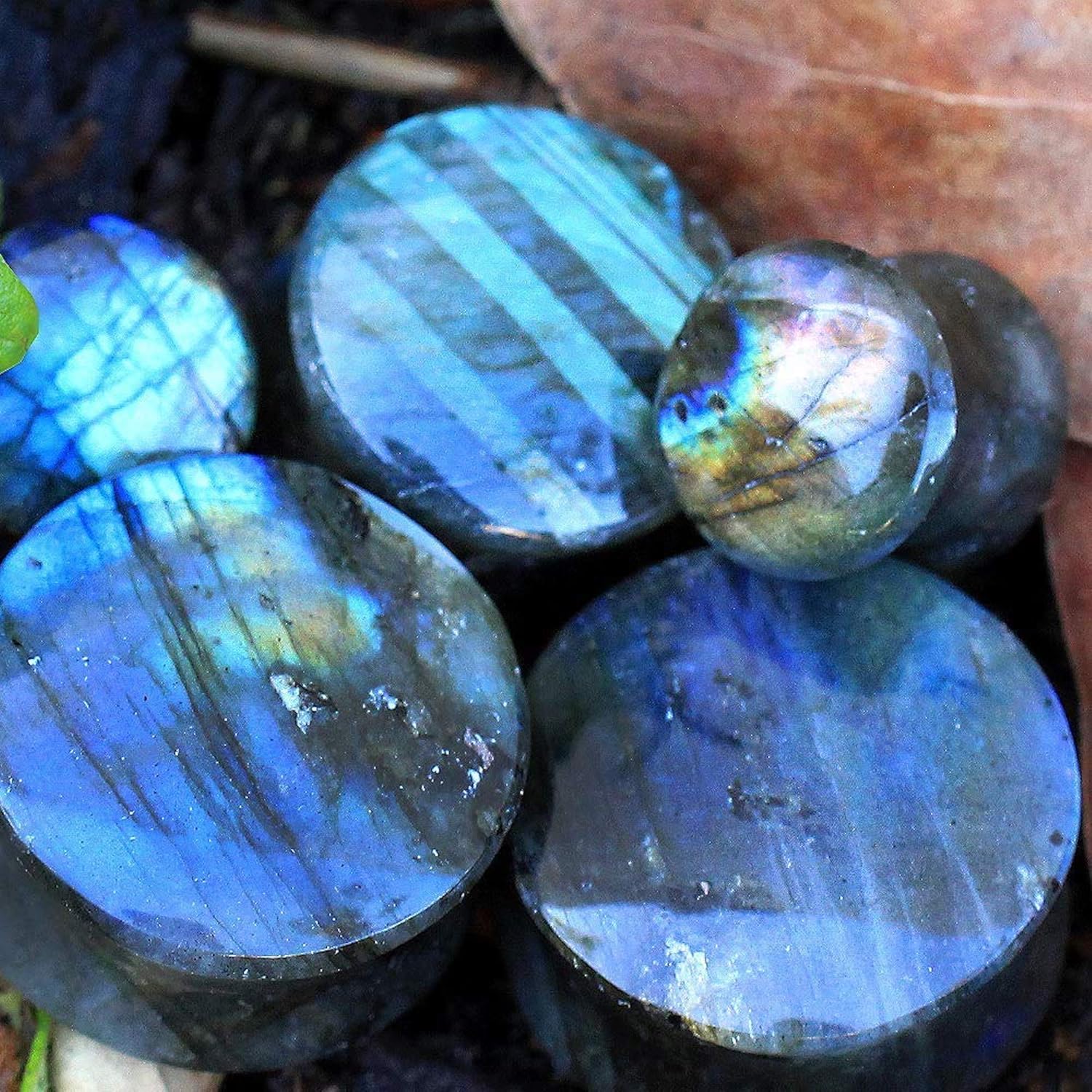AAA Grade Natural Labradorite Stone Saddle Gauge Plug Earrings