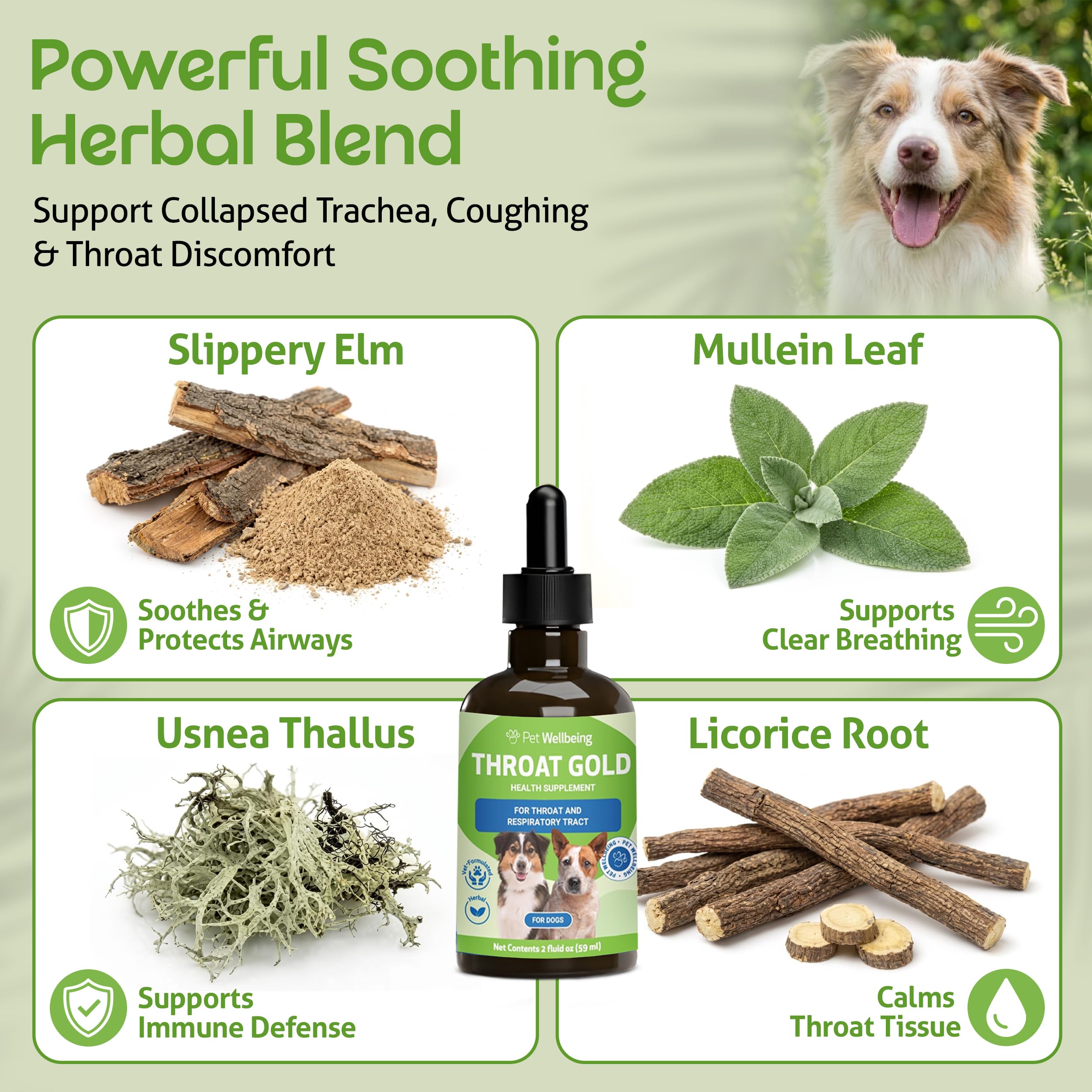 Pet Wellbeing Oro Gola per I Cani - La Tosse A Base di Erbe Naturali, La Gola E Il Supporto Respiratorio per I Cani -