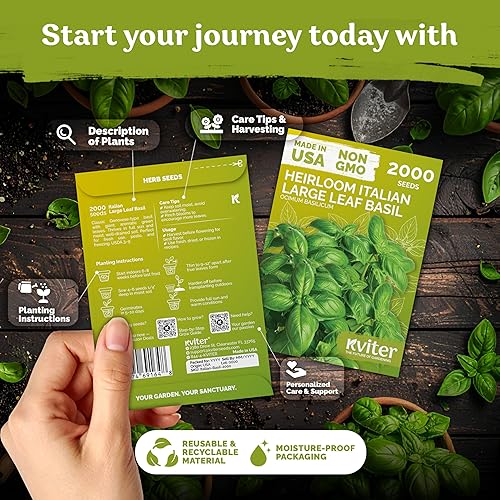Miniatura 2 de KVITER 2000 semillas de albahaca italiana para plantar (Ocimum basilicum)  Albahaca dulce genovesa, reliquia y sin OMG, sabor clásico a pesto