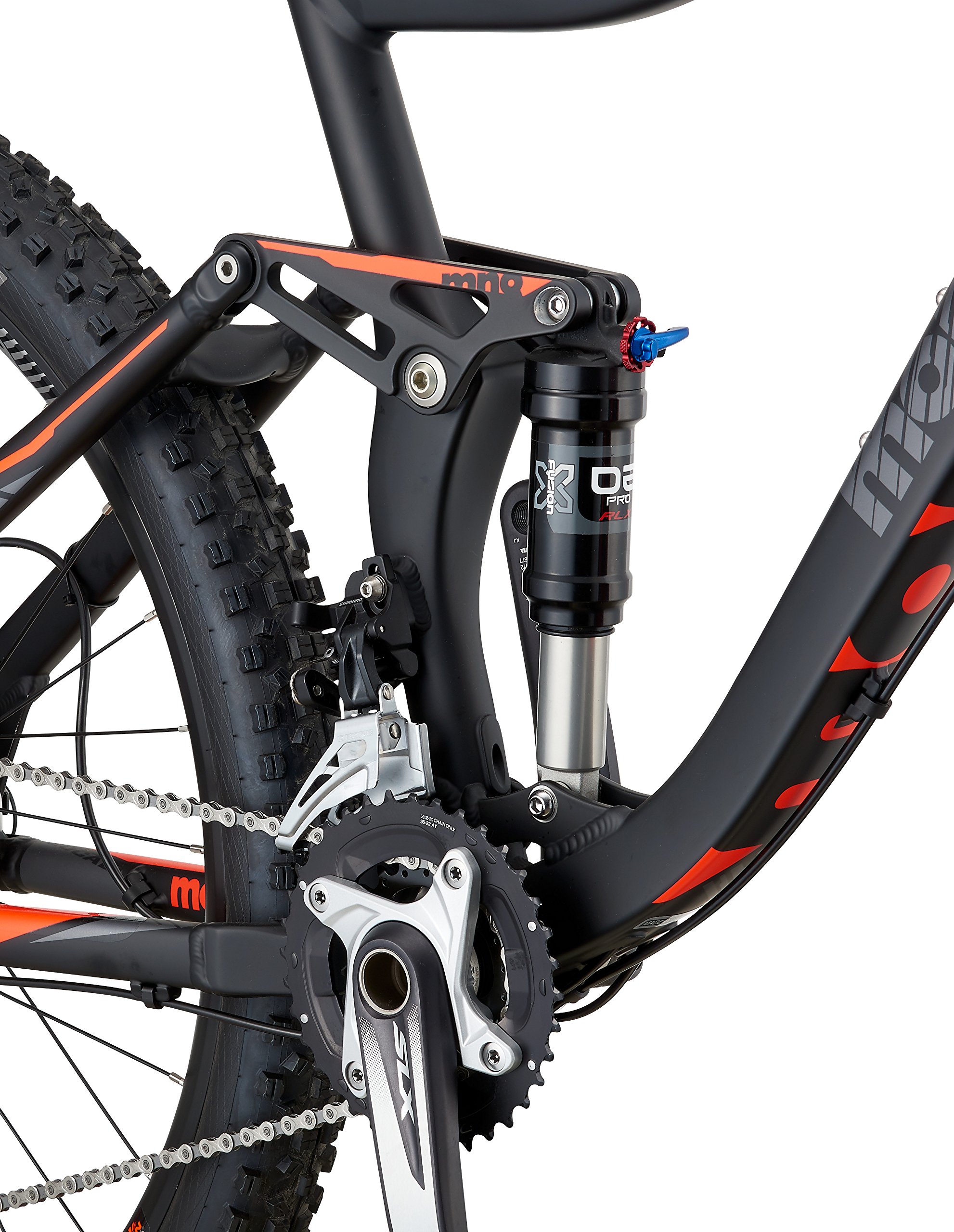 mongoose teocali expert