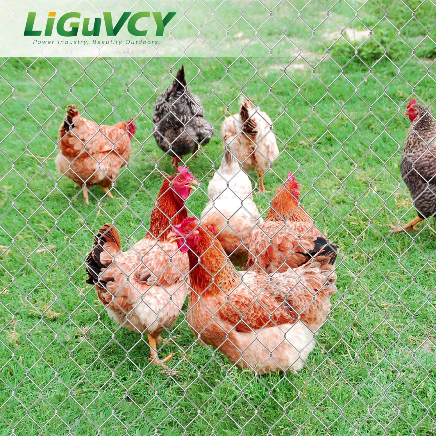 48 in x 150 ft, 2 inch Metal Mesh Pencing, Chicken Wire Fencing, Hexagonal Galvanized Poultry Wire Netting for Chicken, Duck, Goose, Rabbit Fencing