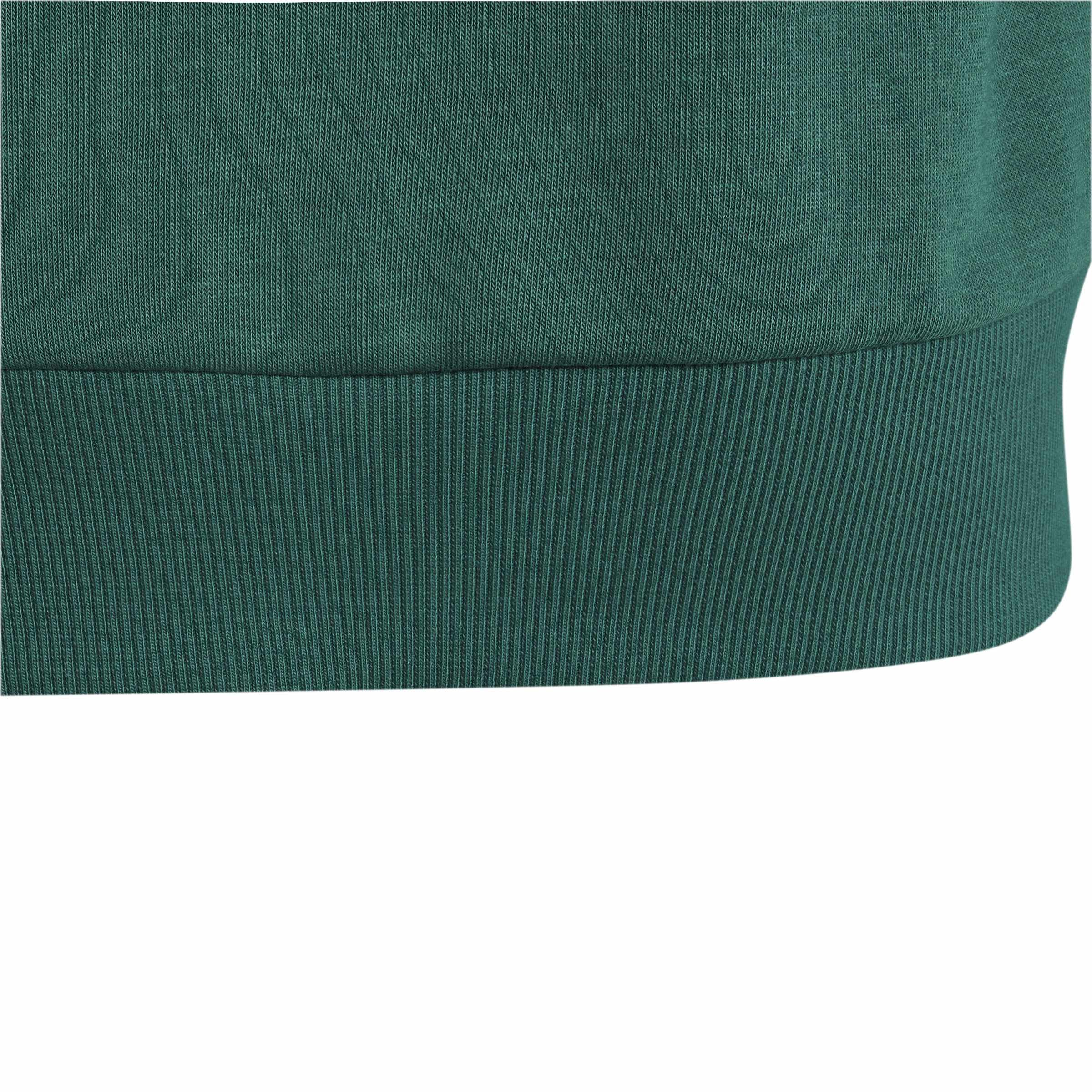 adidas Uniseks - dzieci Essentials Big Logo Hoodie Sweatshirt, collegiate green/white/clear mint/court green, 15-16 Years