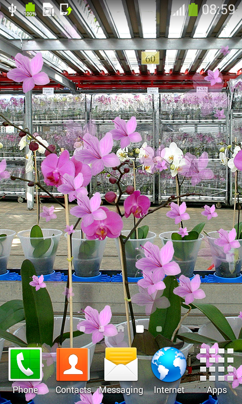 Orchid Live Wallpapers - App on Amazon Appstore