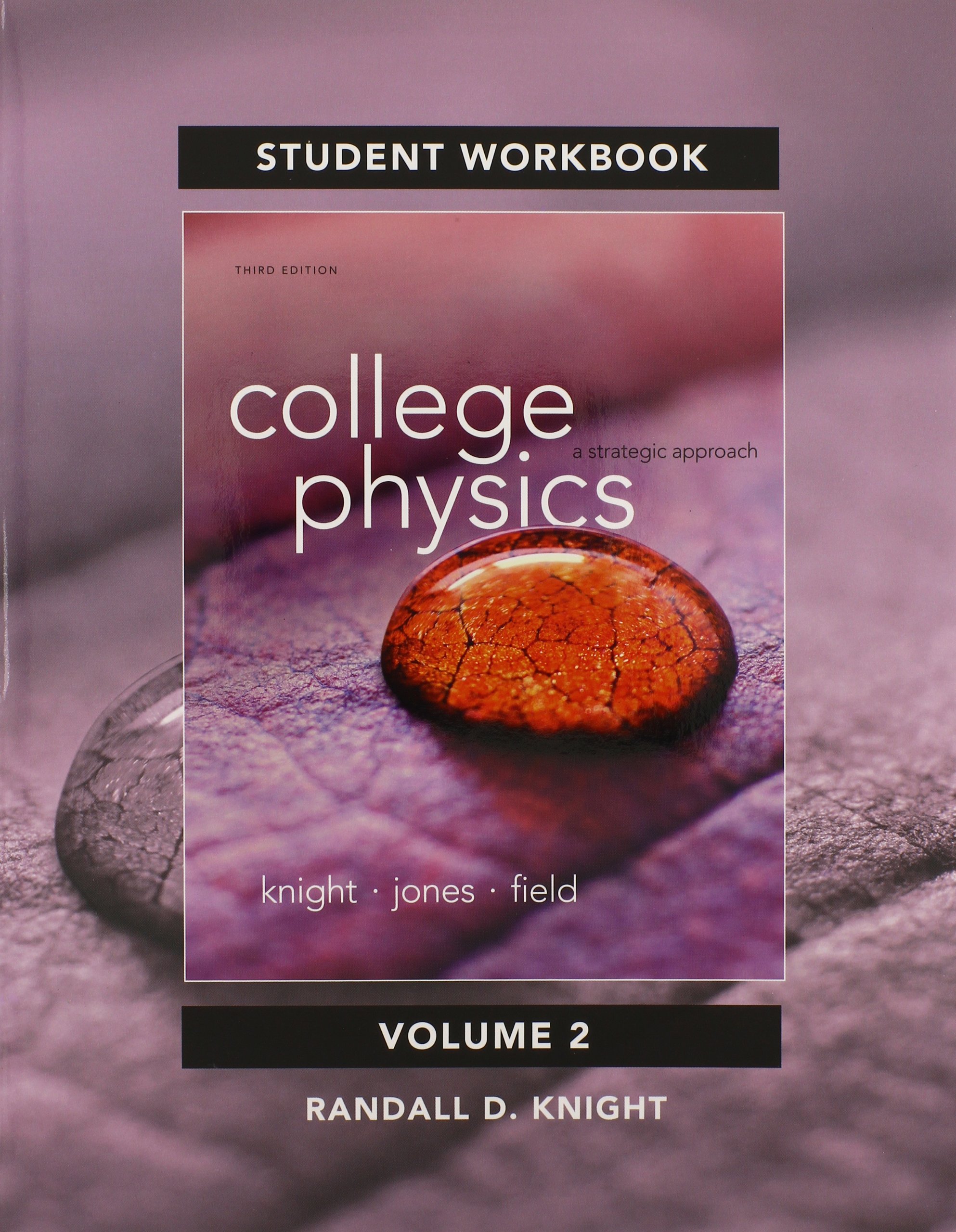 Student Workbook for College Physics: A Strategic Approach Volume 2 (Chs. 17-30)