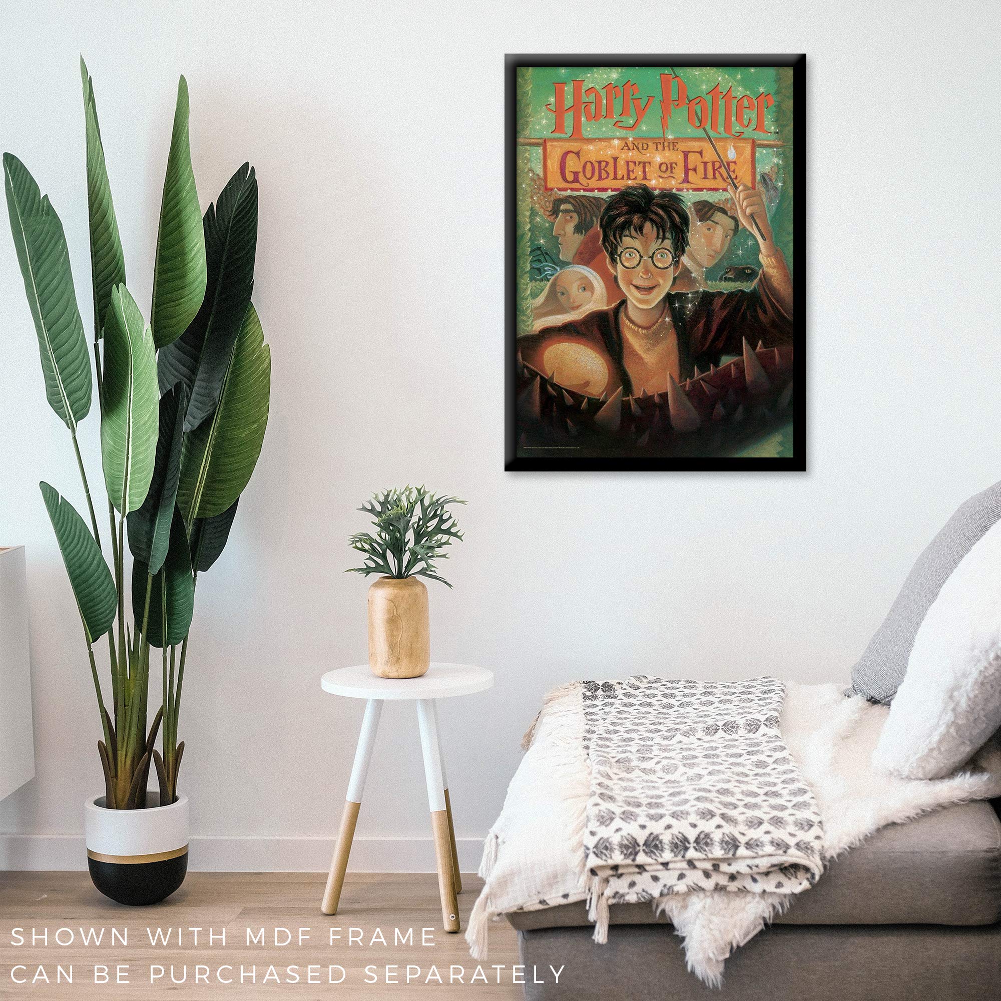 MightyPrint Harry Potter (Book Cover) Wall Art Next Generation