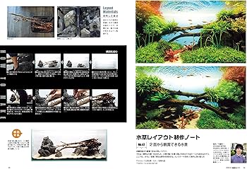 91uDHR7-VmL._AC_UF350,