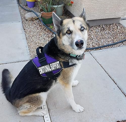 Miniatura 7 de Doggie Stylz Chaleco de apoyo emocional para perros con 2 parches extraíbles de apoyo emocional para animales reflectante ligero suave ajustable K9