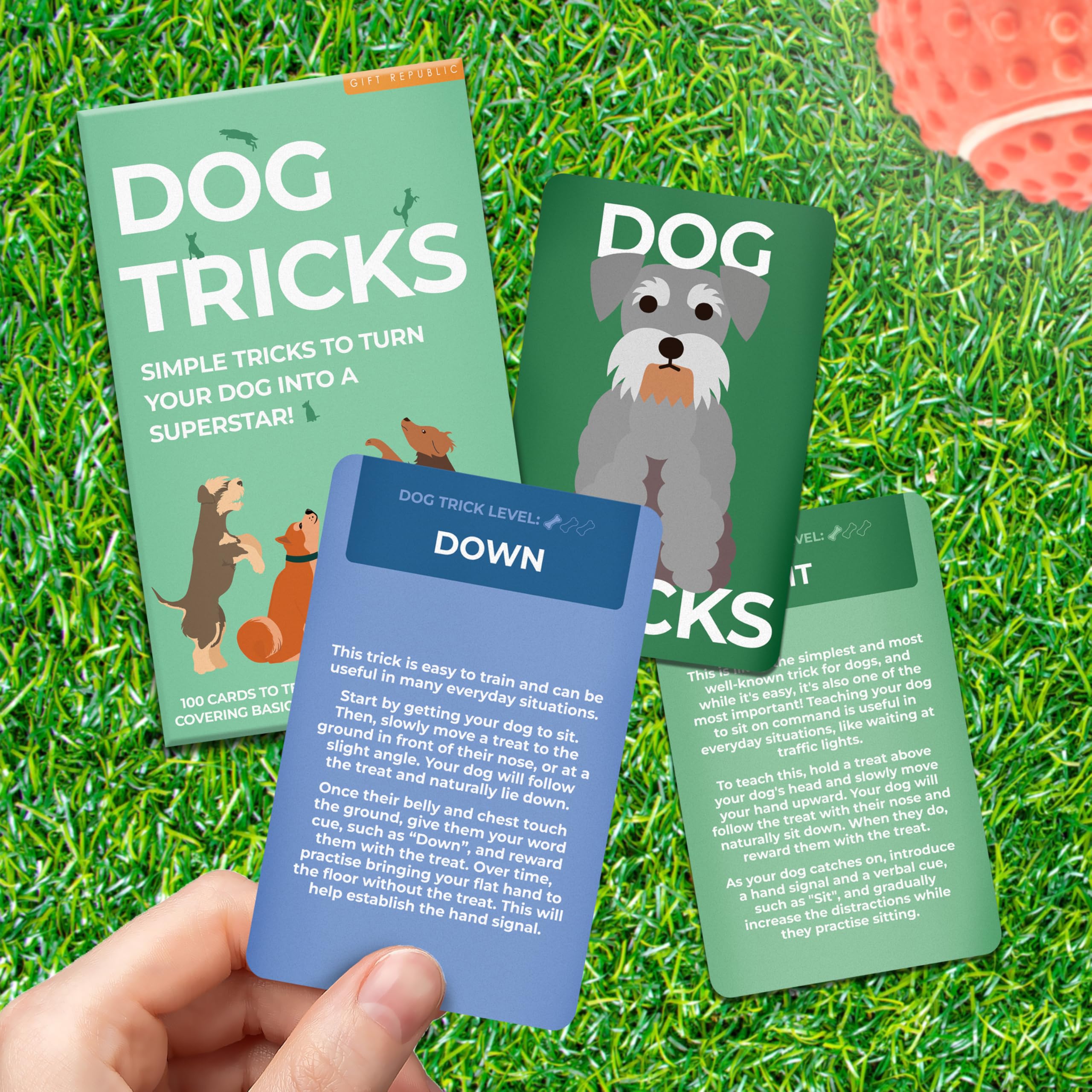 Gift Republic Dog Tricks Card Pack, 100 Training Cards for Dogs and Puppies, Fun Gift Idea for Pet Owners - Image 3