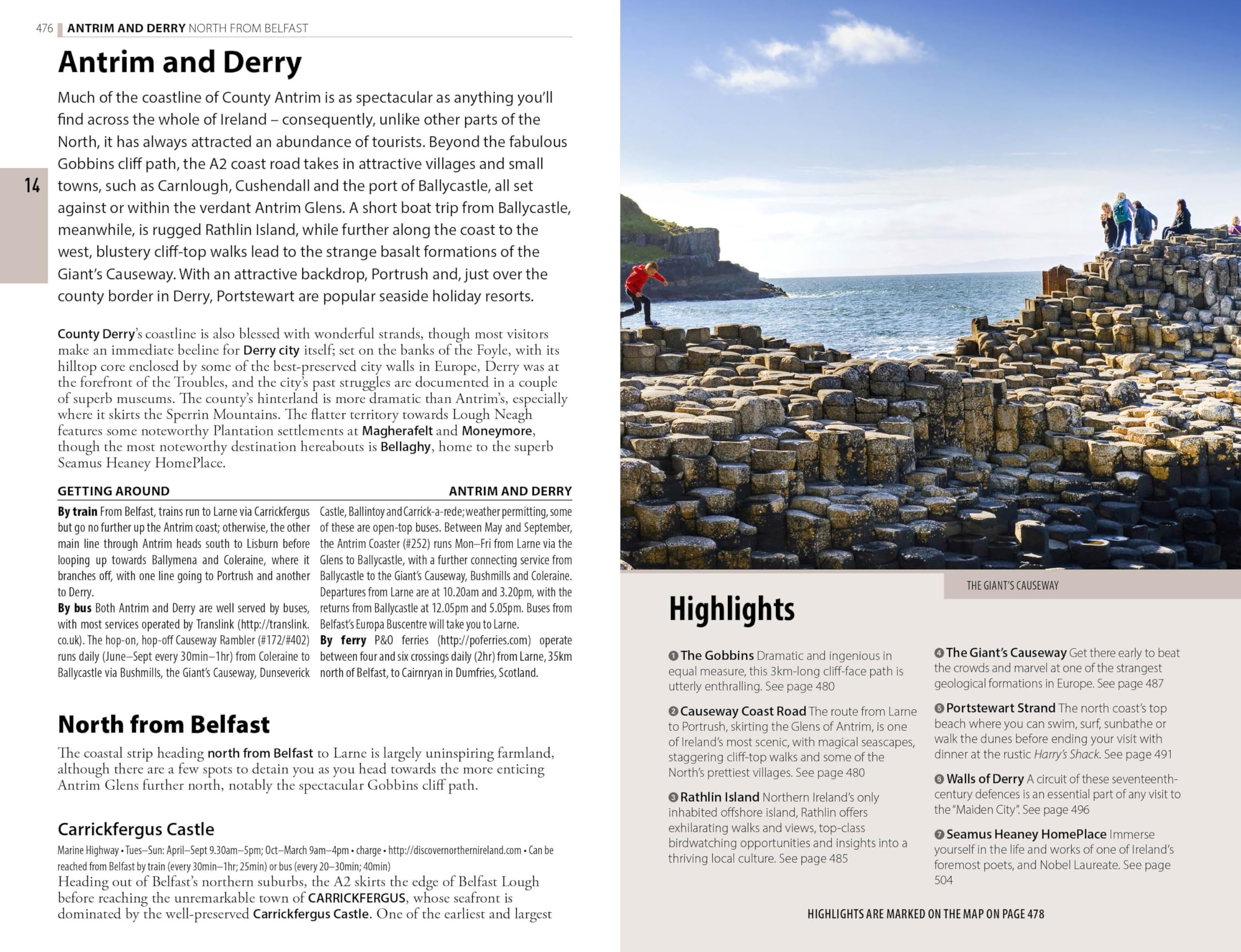 The Rough Guide to Ireland: Travel Guide with eBook