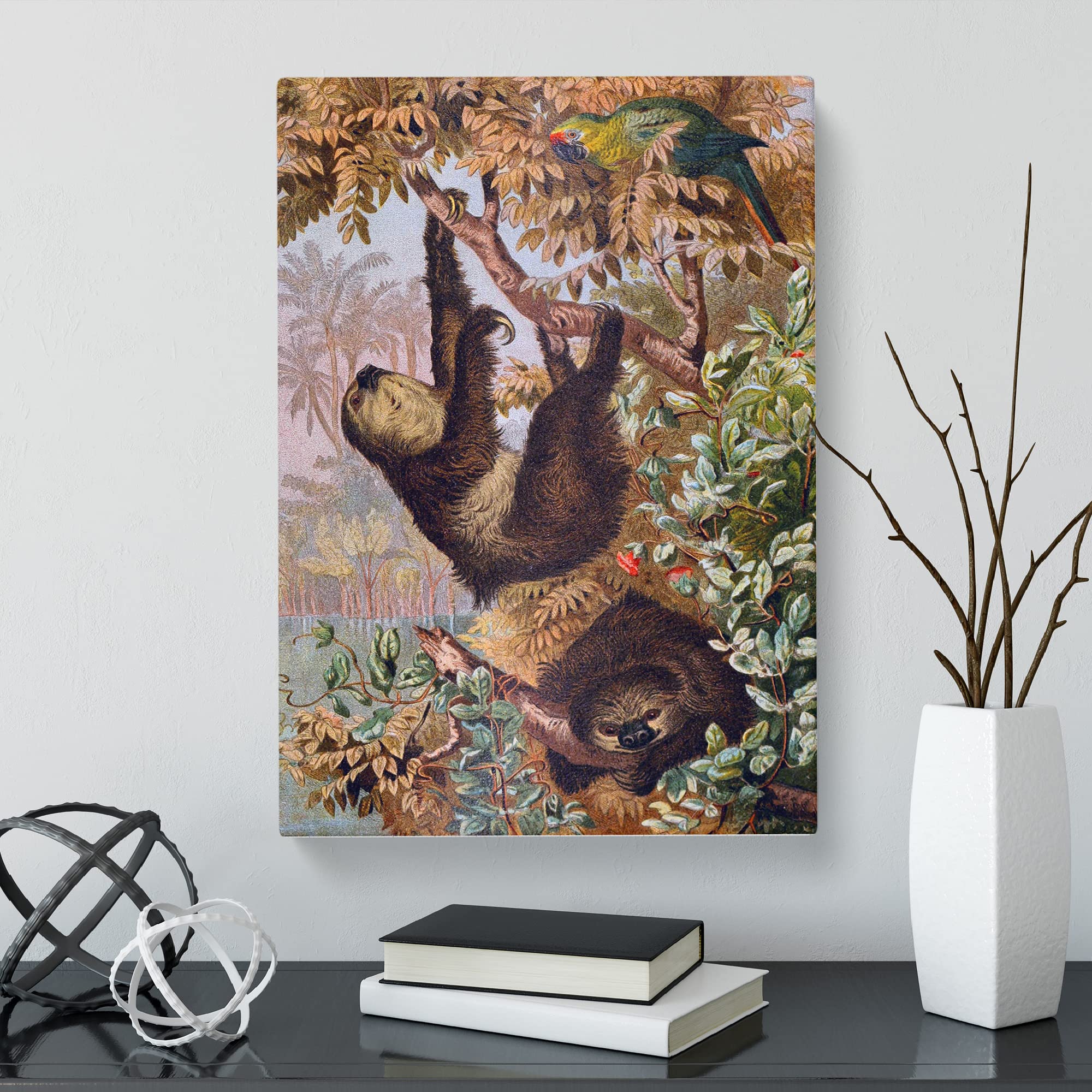 Brehms Tierlben Sloth Canvas Print, Mixed, 25L x 50W cm - Image 3