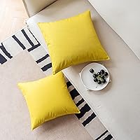 Vista 7 de NiNi ALL Juego de 2 fundas de almohada impermeables para exteriores, decorativas, casa de campo, jardín, fundas de cojín sólidas para patio, tienda