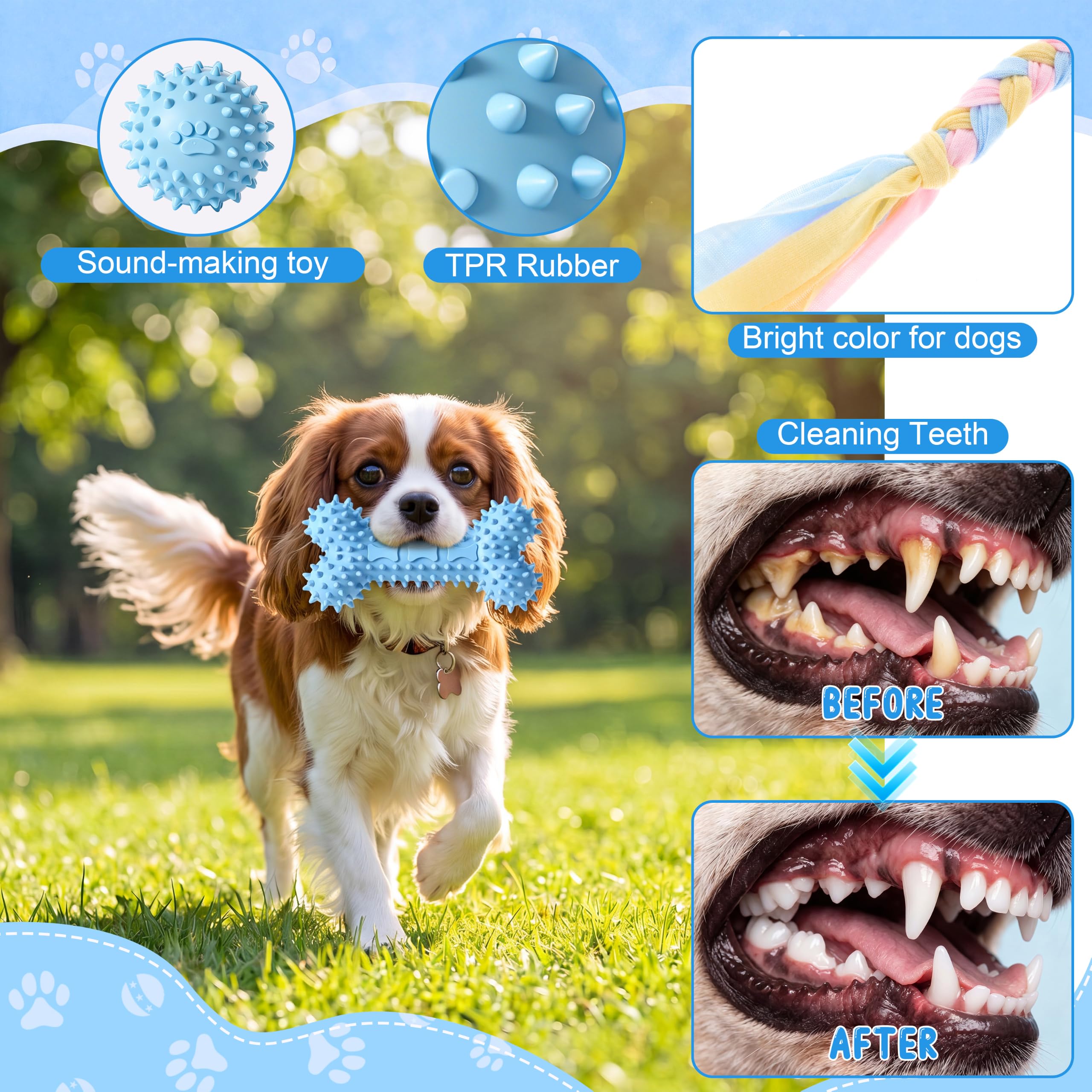Leitee Hundespielzeug für zahnende Welpen, Kauspielzeug, quietschendes Plüschspielzeug, Gummi, Tauziehen und Seil für Welpen bis große Hunde, Blau, 40 Stück