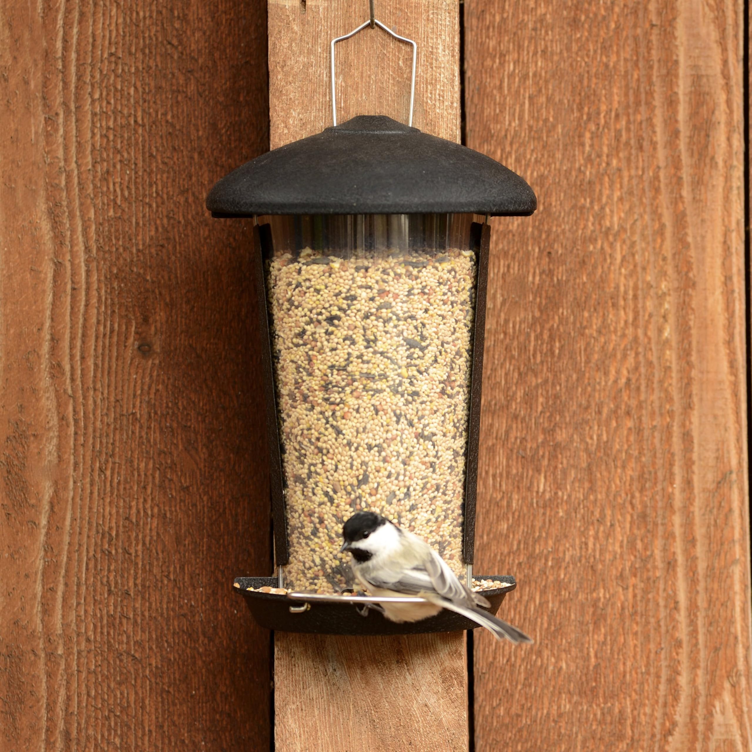 Vogelfutterstation & Badewanne Für Zäune – Zur Montage Am Gartenzaun