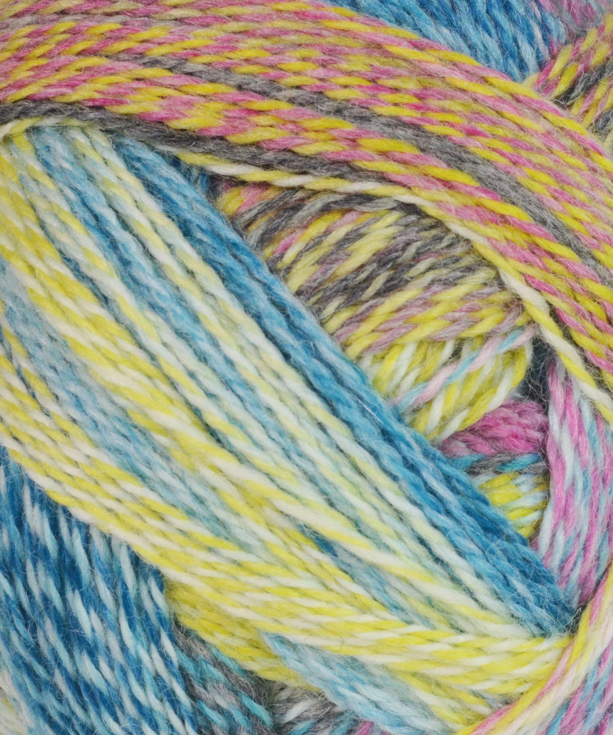 Schoppel Wolle - Zauberball Crazy Knitting Yarn - Garden Party (# 2355)