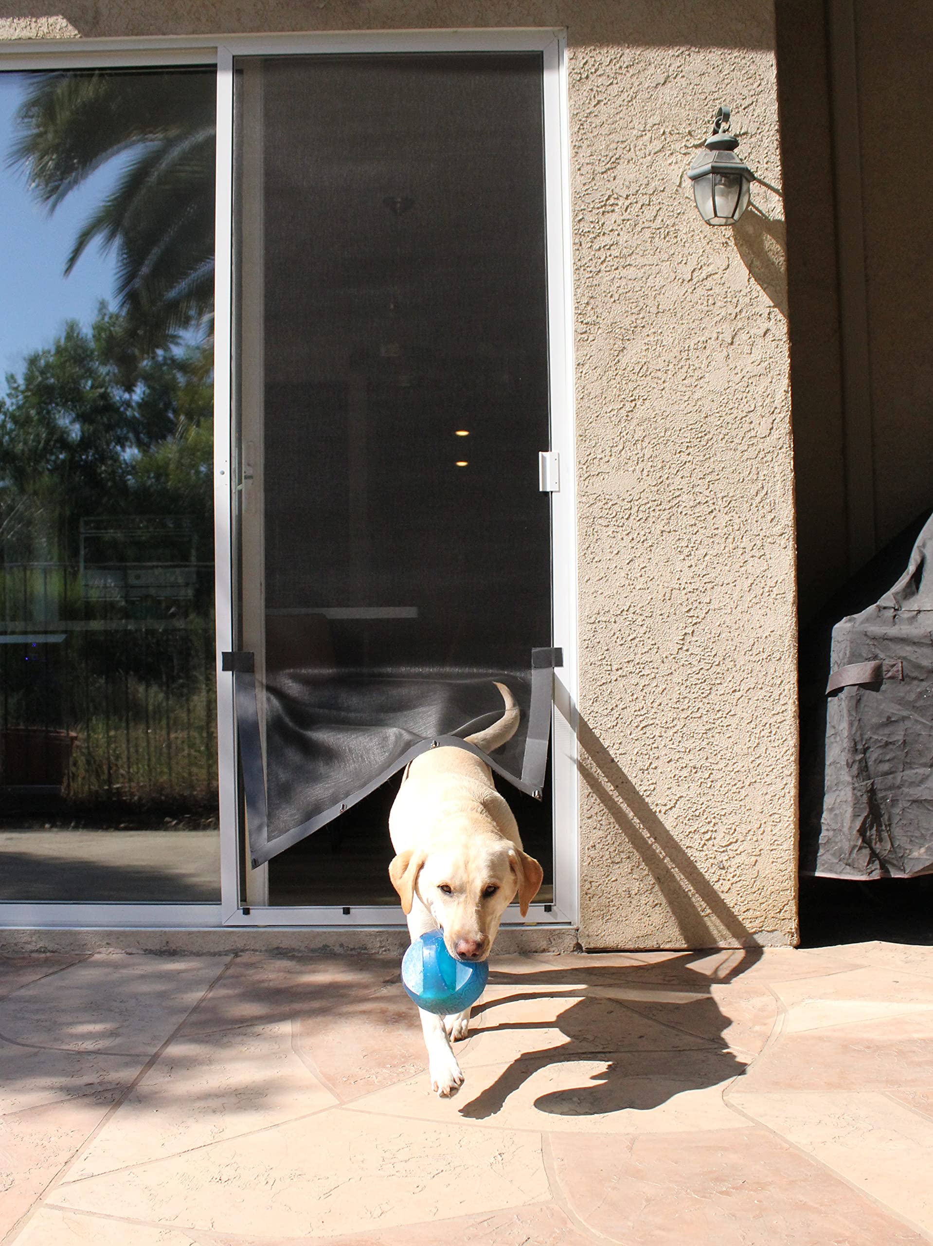 Buy Screen Pet Door Conversion Kit Doggie Door for Screen Door Patio