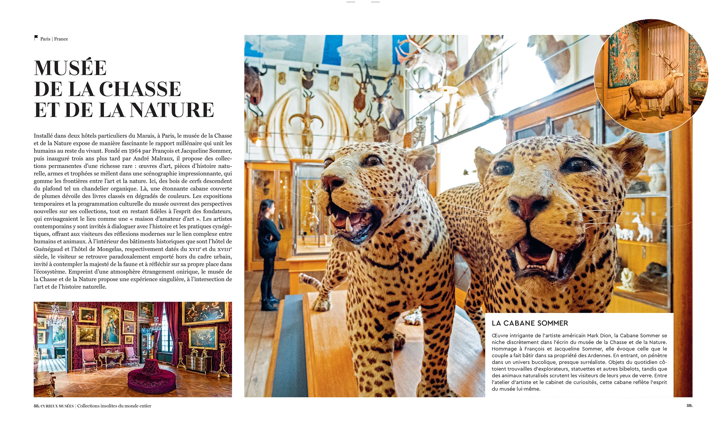 Curieux musées: Collections insolites du monde entier