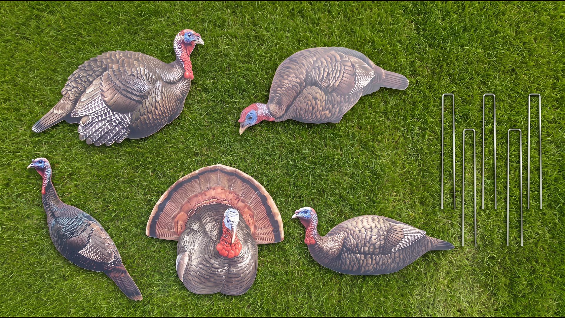 Amazon.com: Novabright 5 Pcs 2D Turkey Decoys Hunting Yard Sign