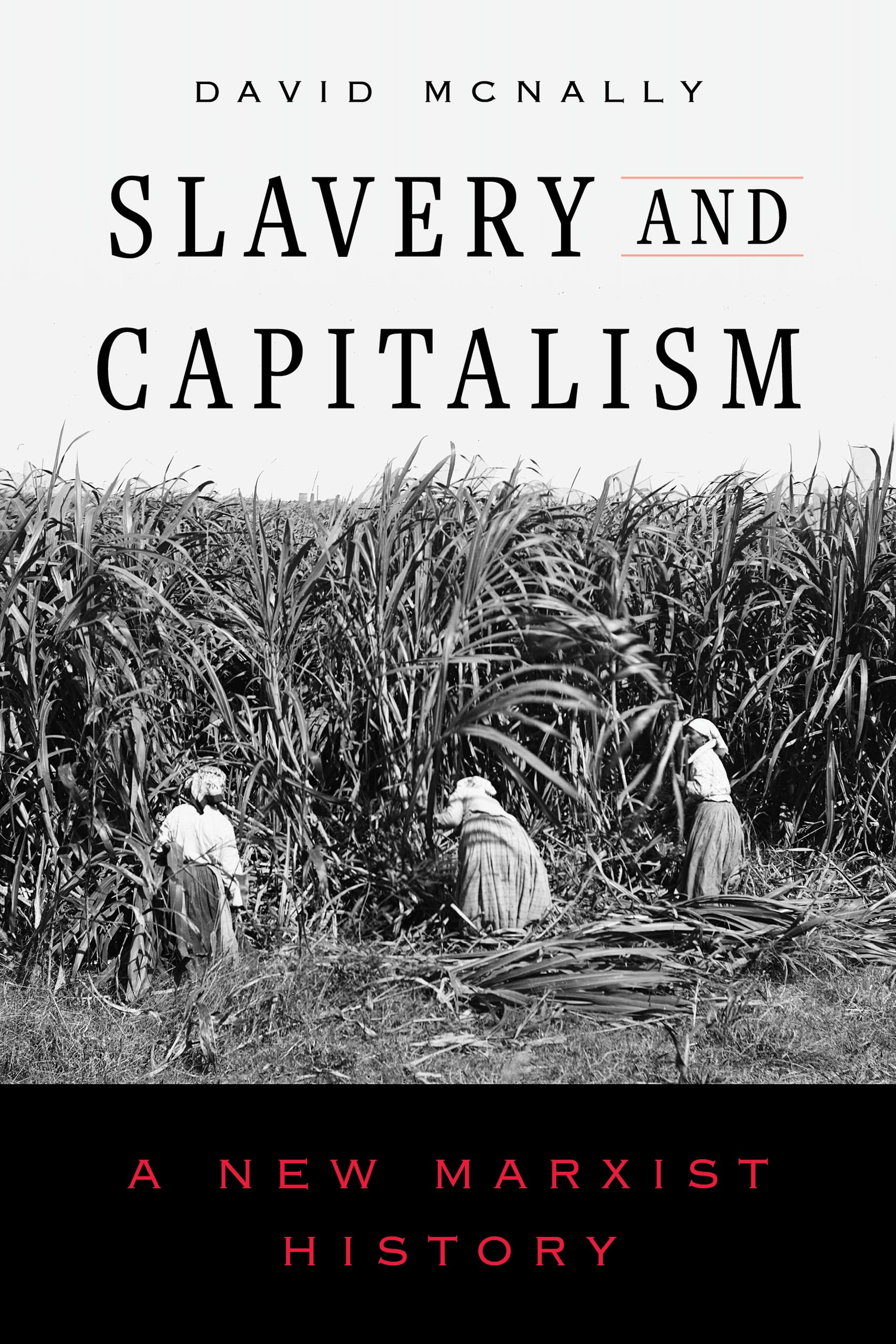 Slavery and Capitalism: A New Marxist History