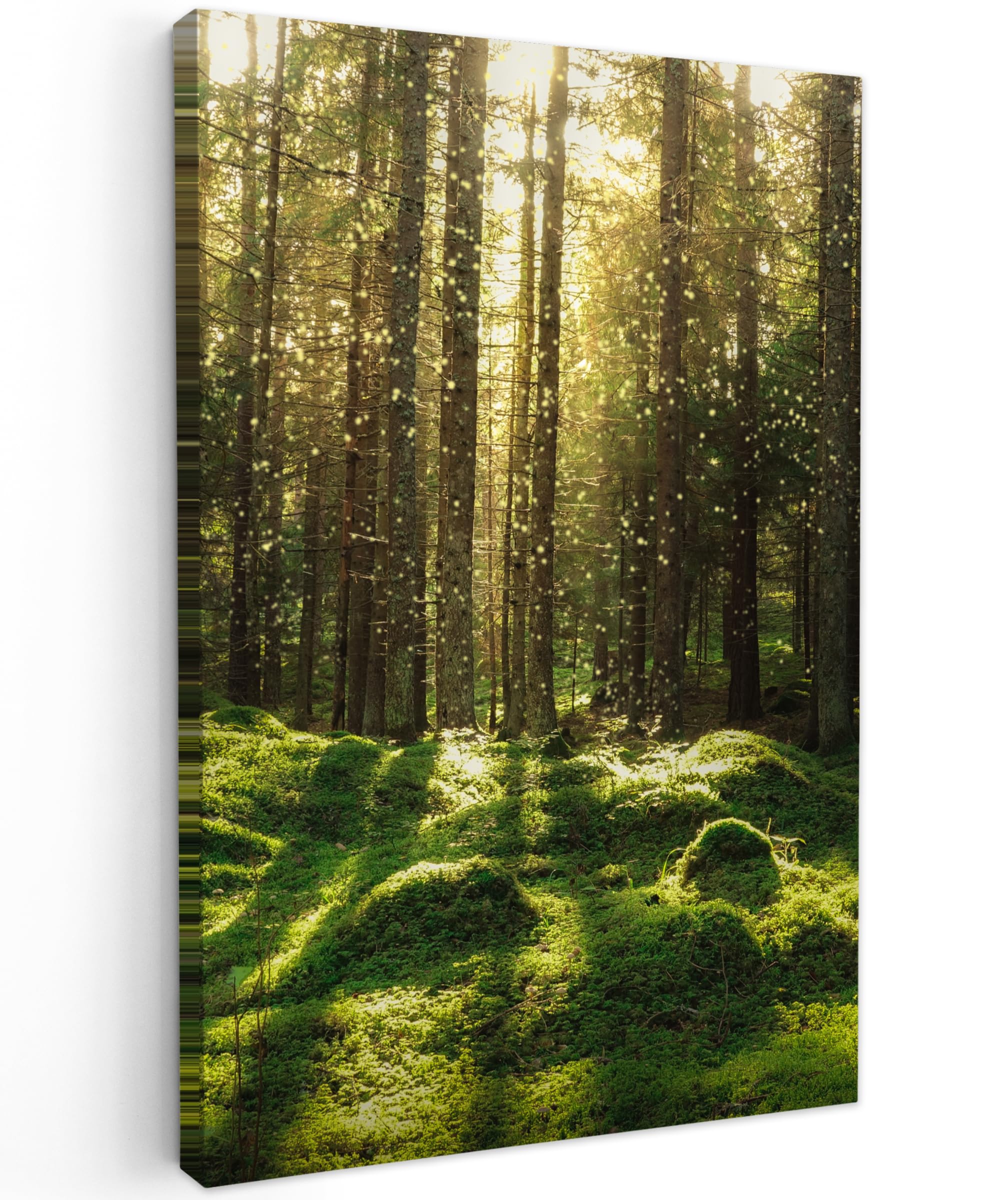 MuchoWow© Wandbilder 40x60 cm Schlafzimmer Home Deko Wohnung Bild Wohnzimmer Fotoleinwand Wand Bilder Leinwand Wall Decor Bäume - Wandbild Wald - Moos - Pflanzen - Sonne - Natur