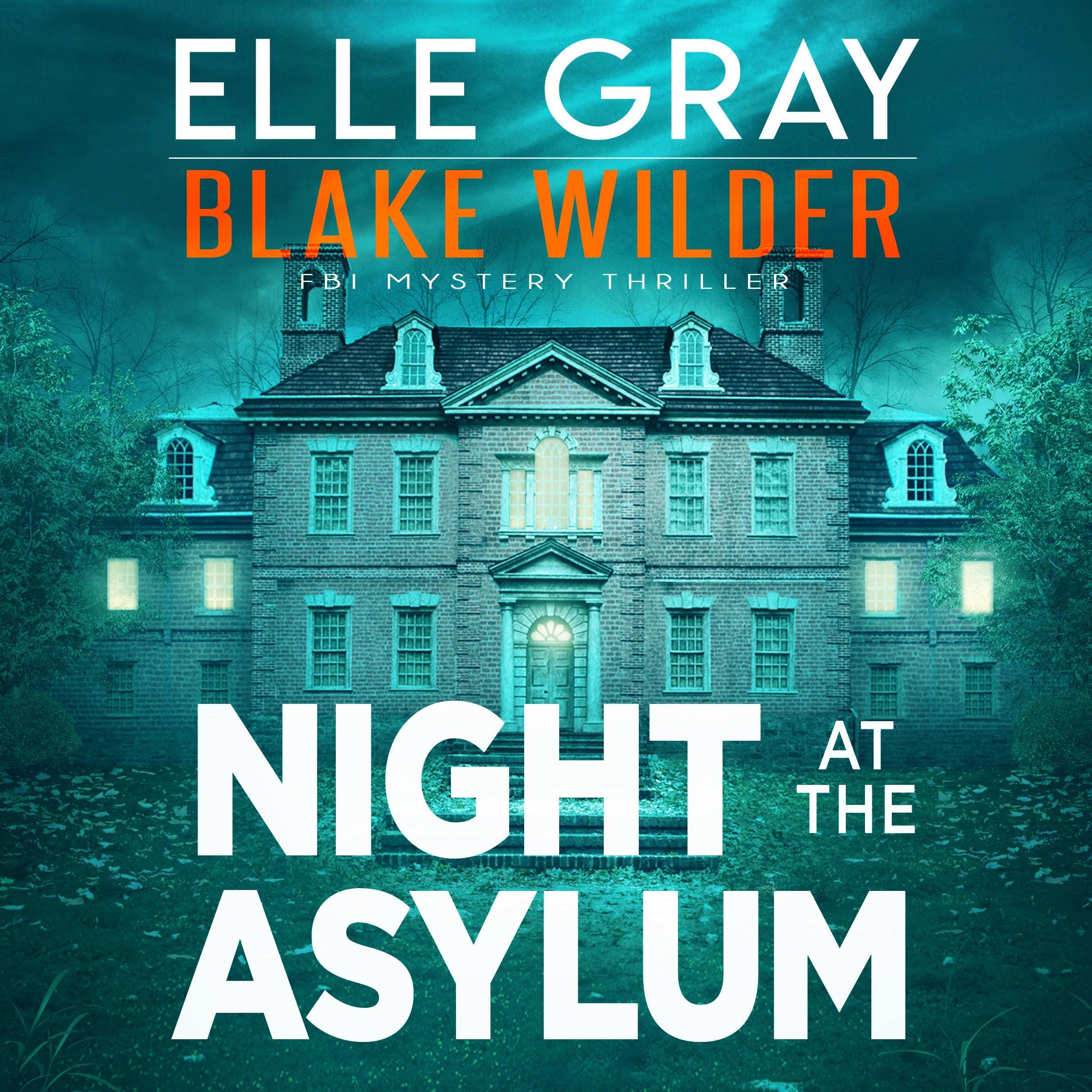 Cover art for Night at the Asylum