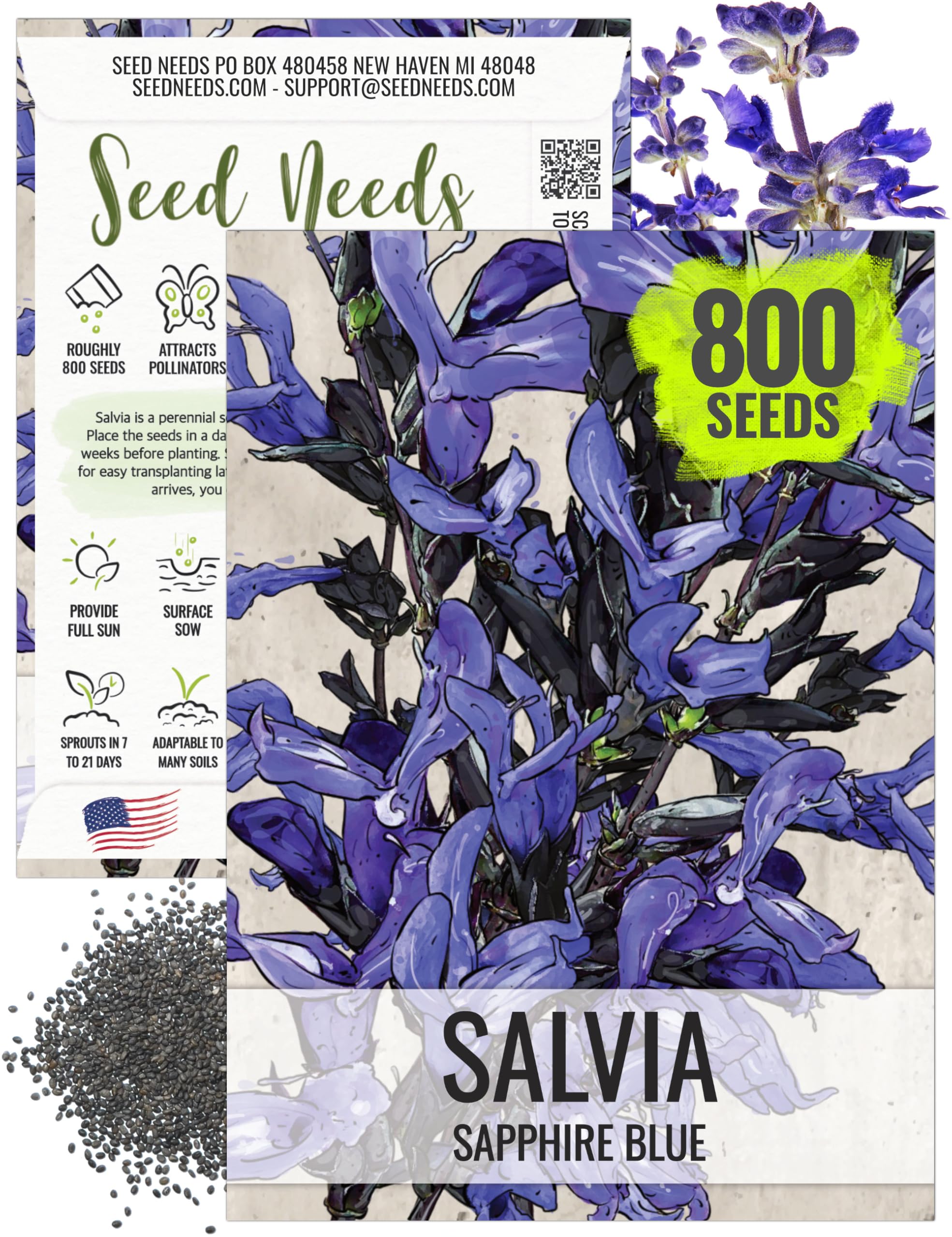 Seed Needs Sapphire Blue Sage Seeds for Planting - Heirloom & Open Pollinated Salvia - Grow a Butterfly Garden with Perennial Flowering Plants (1 Pack)