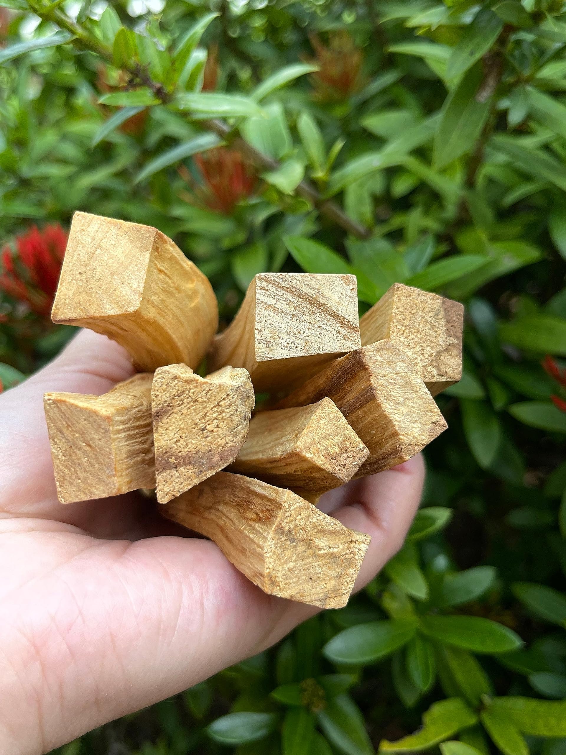 Palo Santo Stick de 4 pulgadas, Palo Santo Sood, madera sagrada, palo de manchas de Palo Santo, limpieza, bendición, lote al por mayor a granel (1 libra)