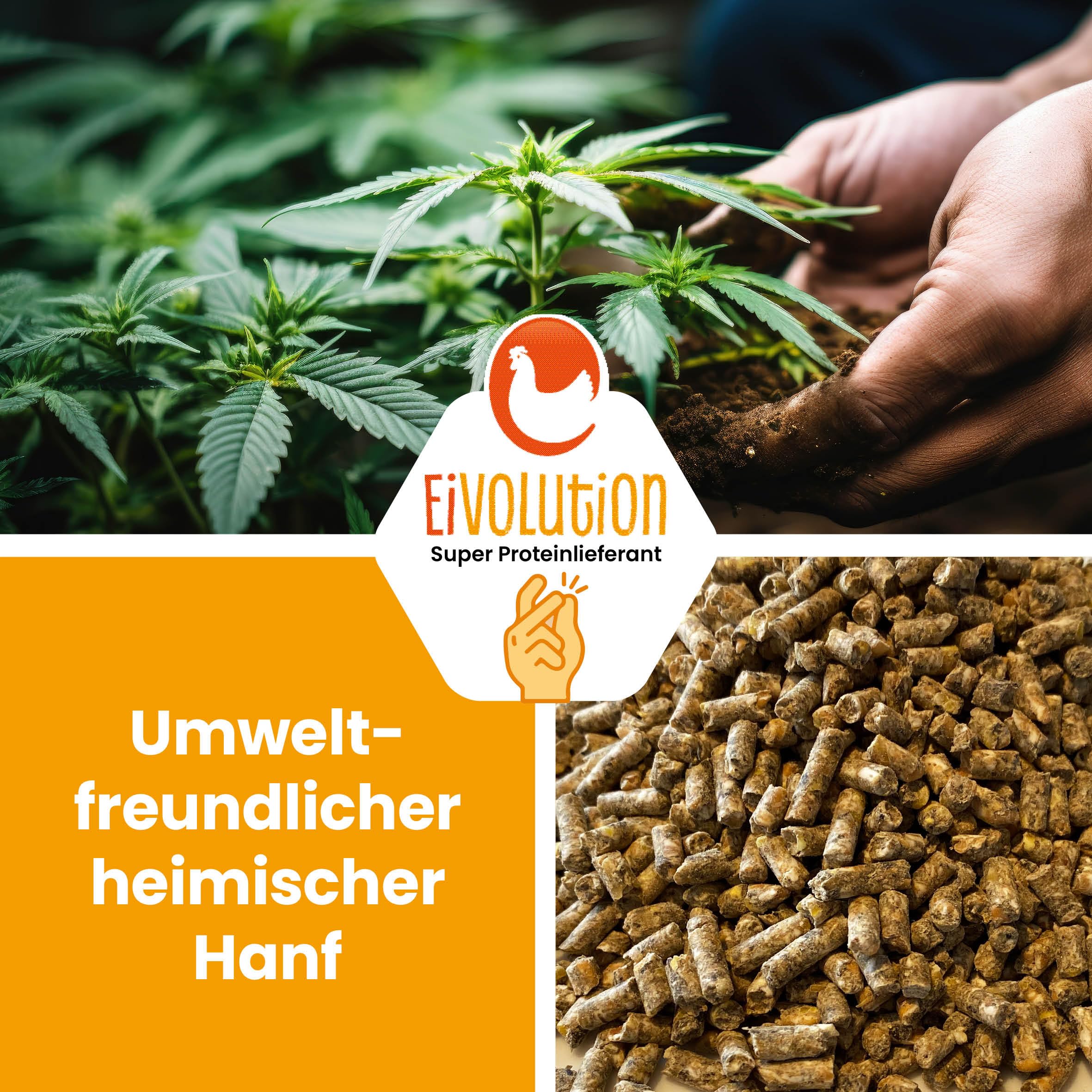 Bio Hühnerfutter Hanf-Pellets ohne Soja - 14 kg - nährstoffreich & aromatisch - Naturland zertifziert