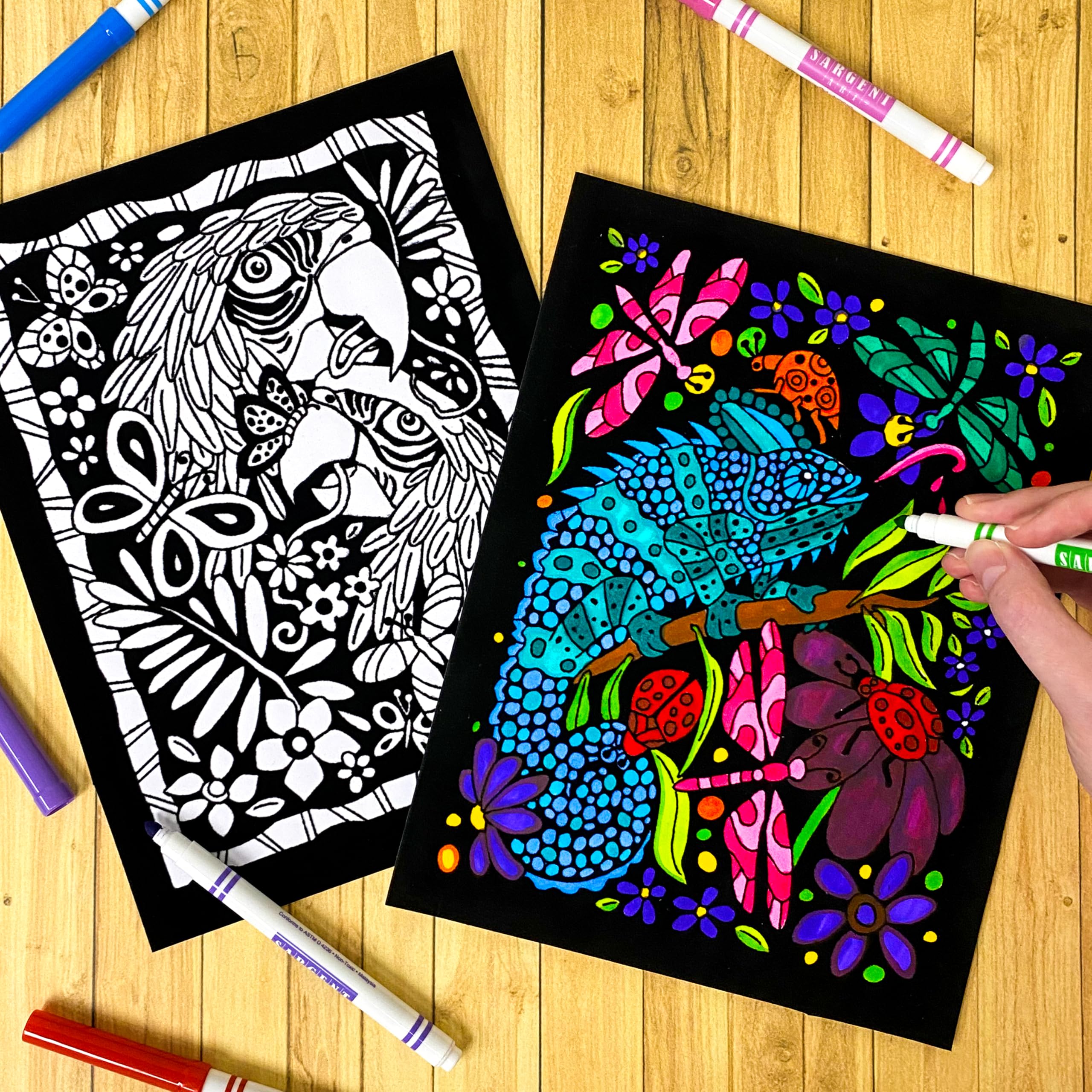 Paquete de 18 pósteres para colorear de terciopelo mullido (edición artística), ideal para tiempo en familia, artes y manualidades, viajes, aulas, instalaciones de cuidado, para todas las edades