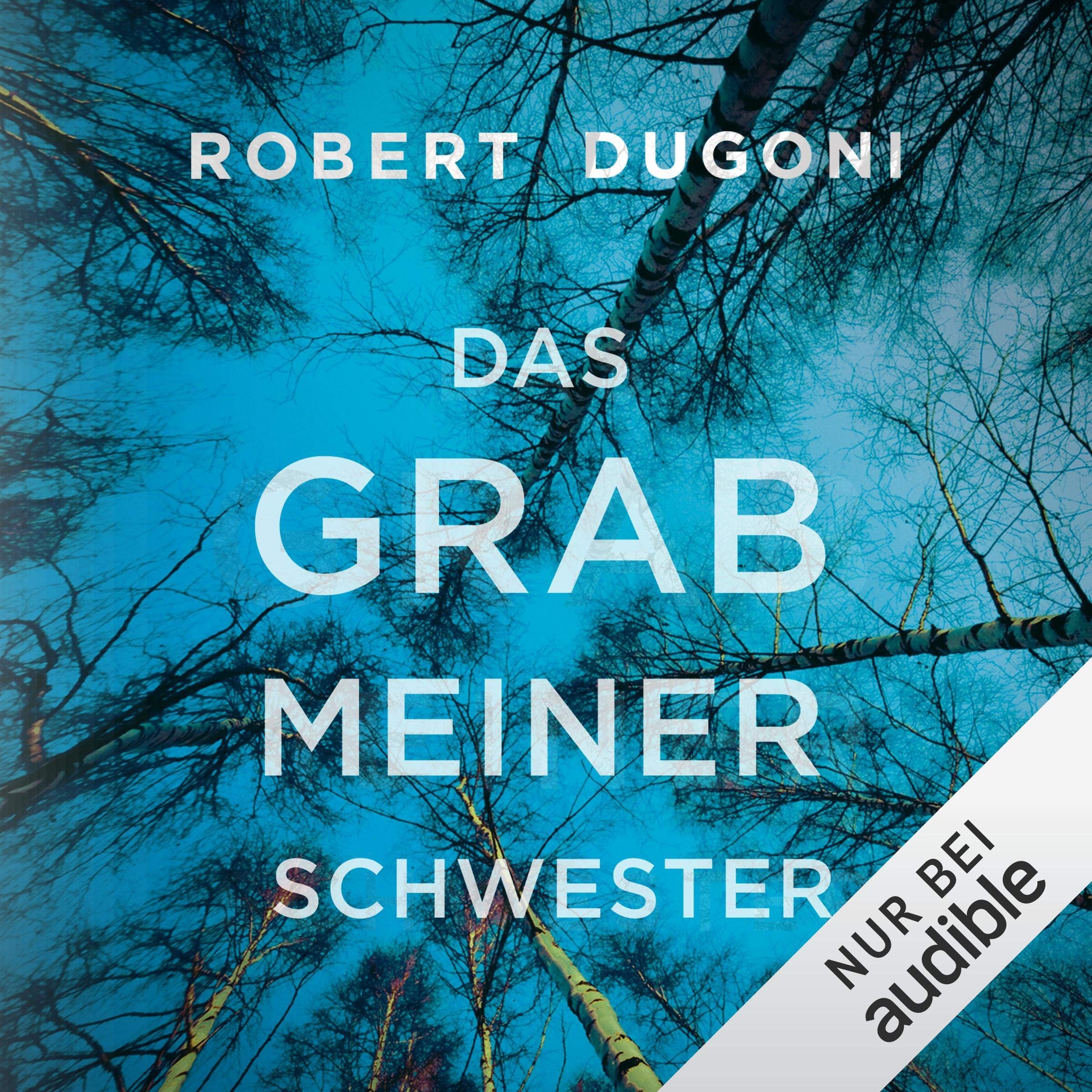 Cover art for Das Grab meiner Schwester
