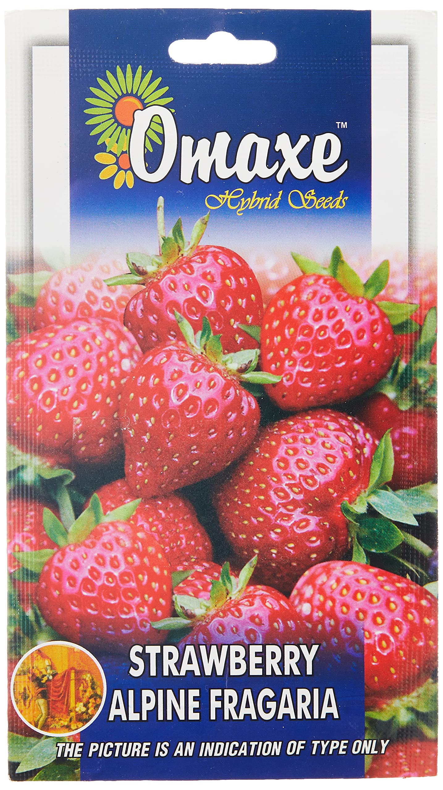 Raunak Seeds Omaxe Strawberry Alpine Fragaria Variety (Avg 30-50 Seeds) (B01IZRSA06) Amazon Price History, Amazon Price Tracker