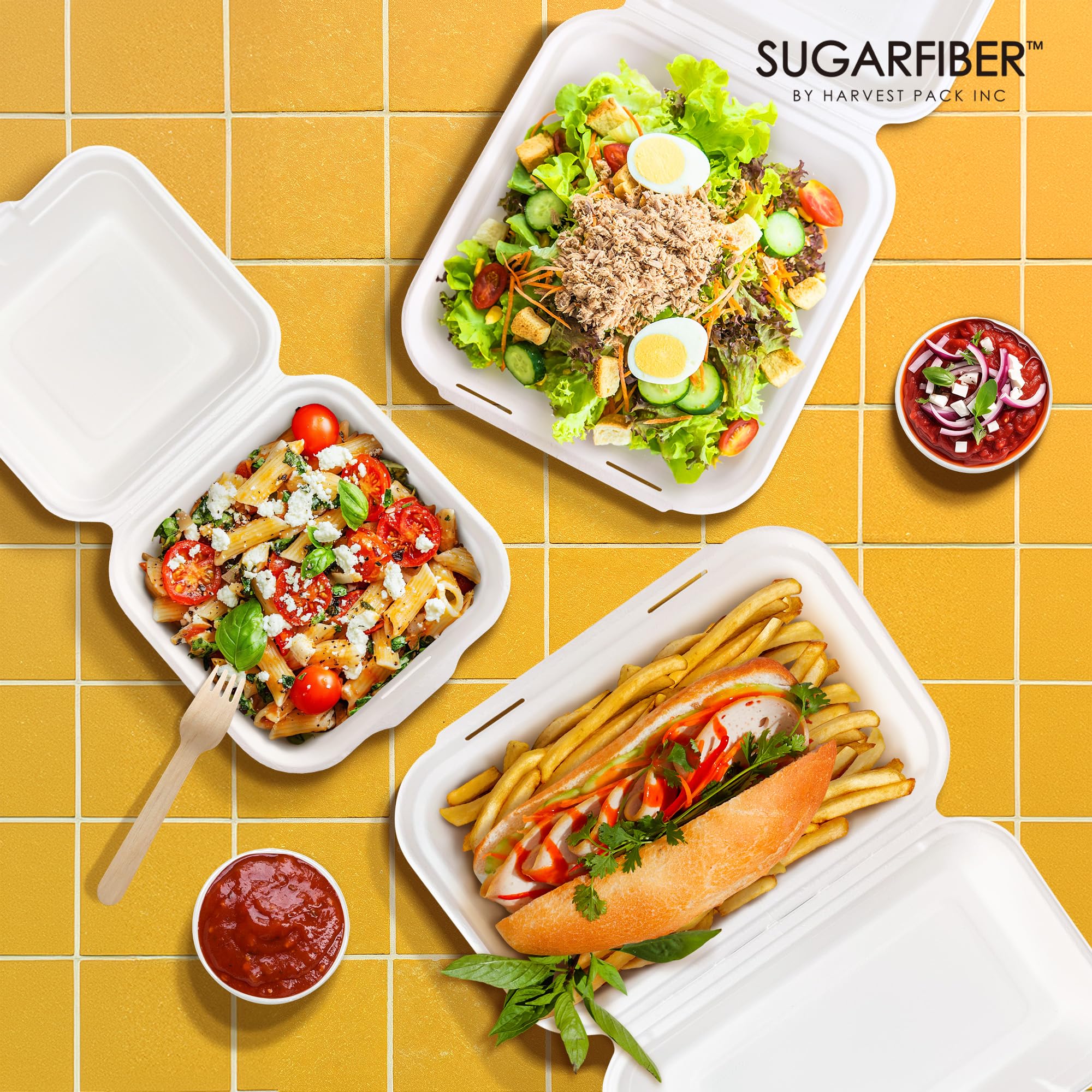 Paquete de cosecha de 8 x 8 pulgadas, contenedor cuadrado compostable blanco con bisagras, caja desechable de un solo compartimento para llevar, hecha de fibras vegetales de bagazo ecológicas, sin