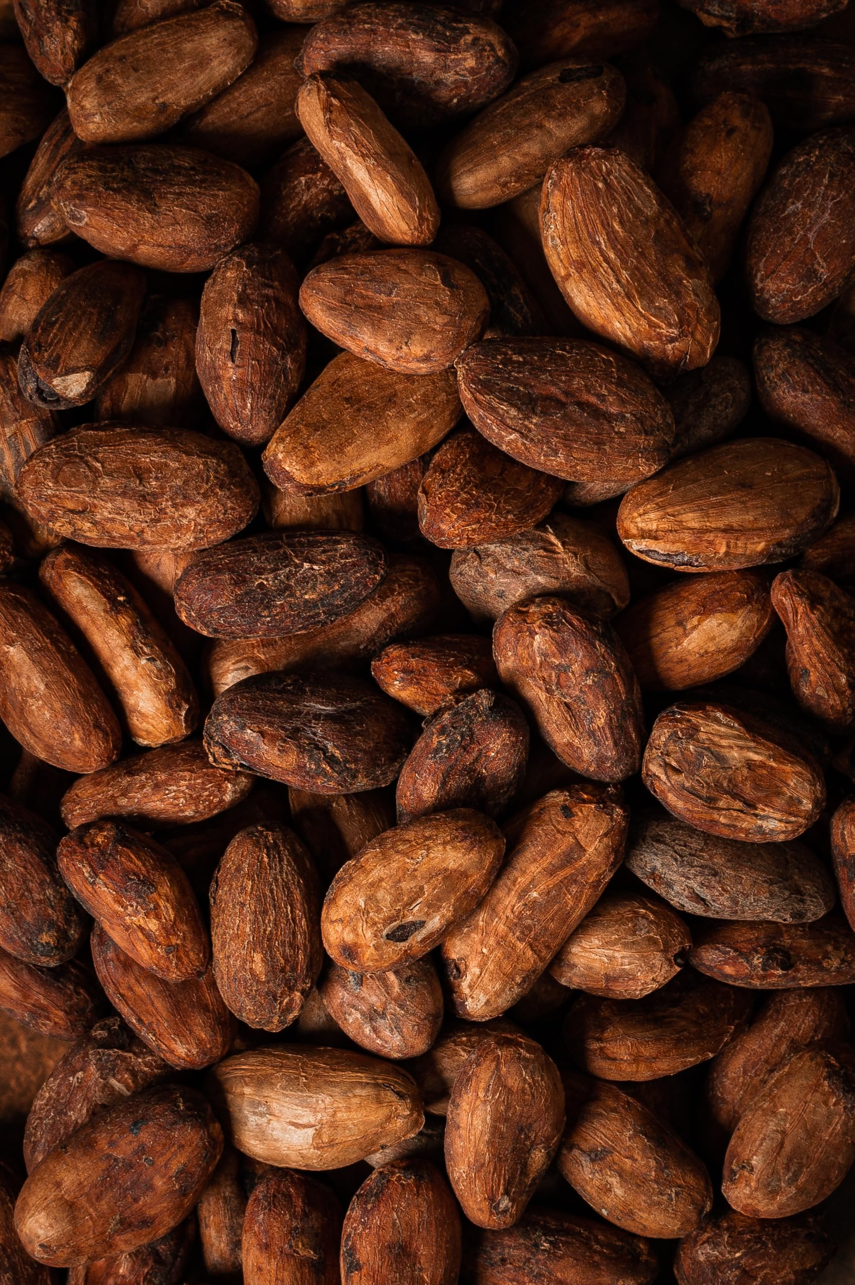 Biojoy BIO-Ziarna kakaowca 1 kg surowe całe bez dodatku cukru Theobroma cacao
